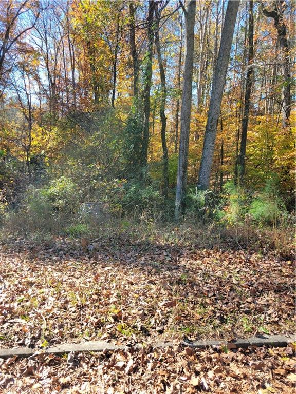 5008 Hidden Branch Drive