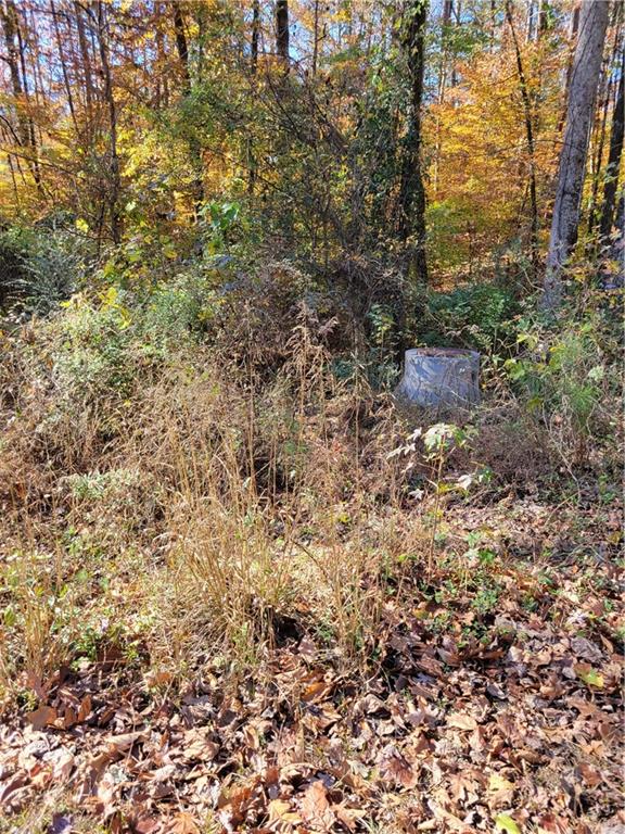 5008 Hidden Branch Drive