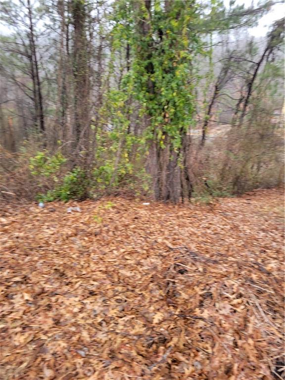 561 Paper Ridge Court