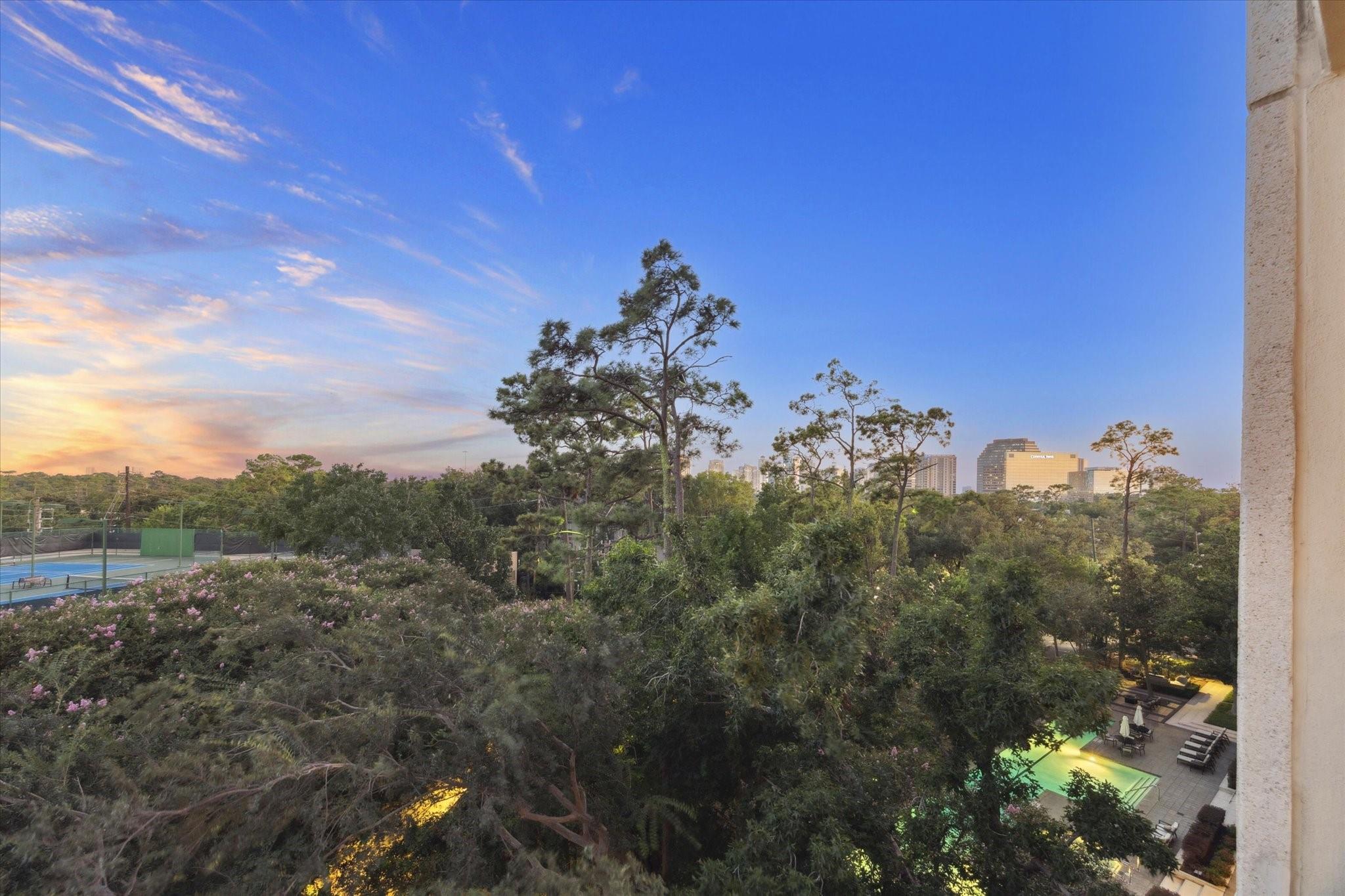 121 N Post Oak Lane # 601