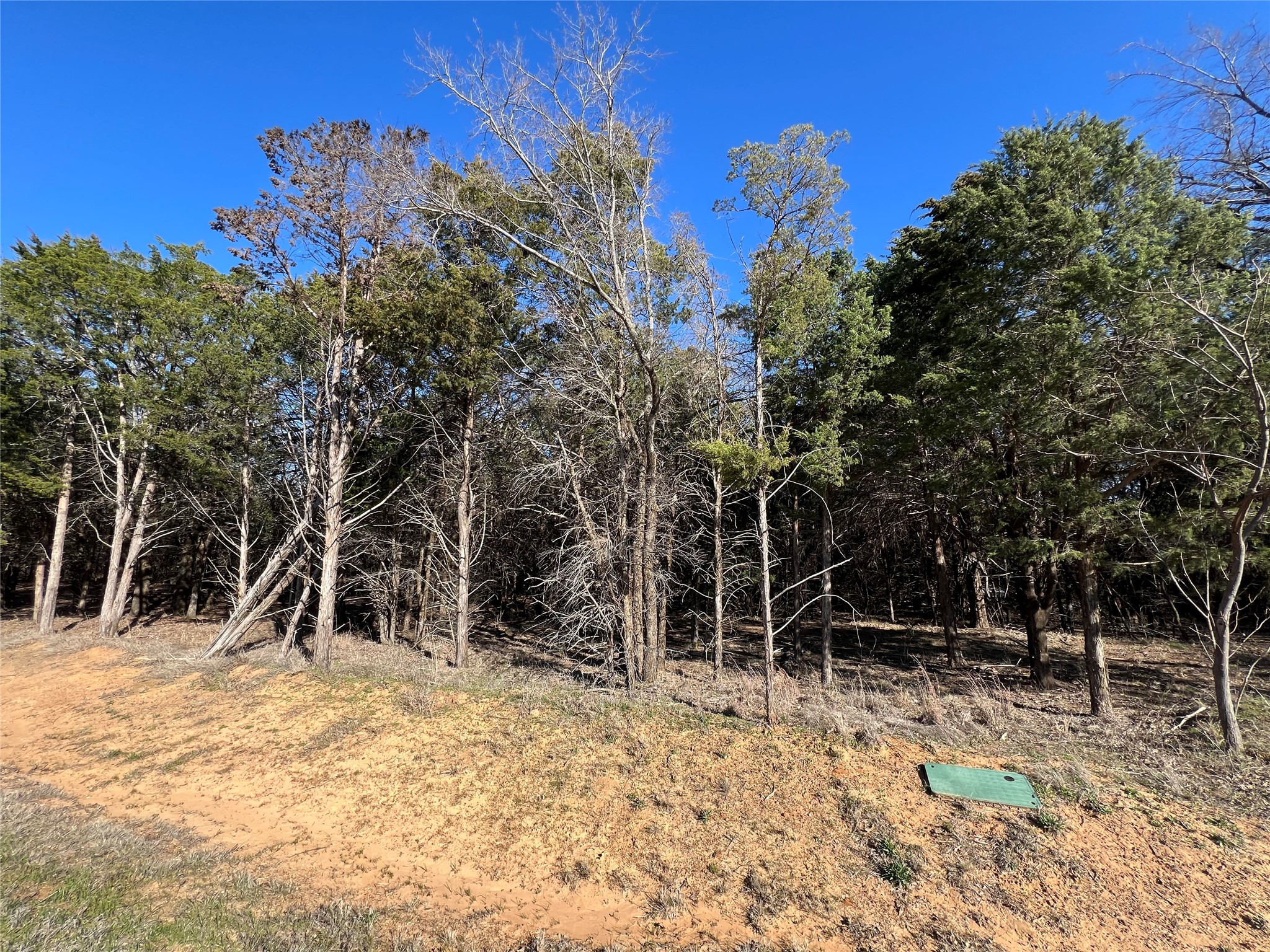 162 Pine Hills Lane