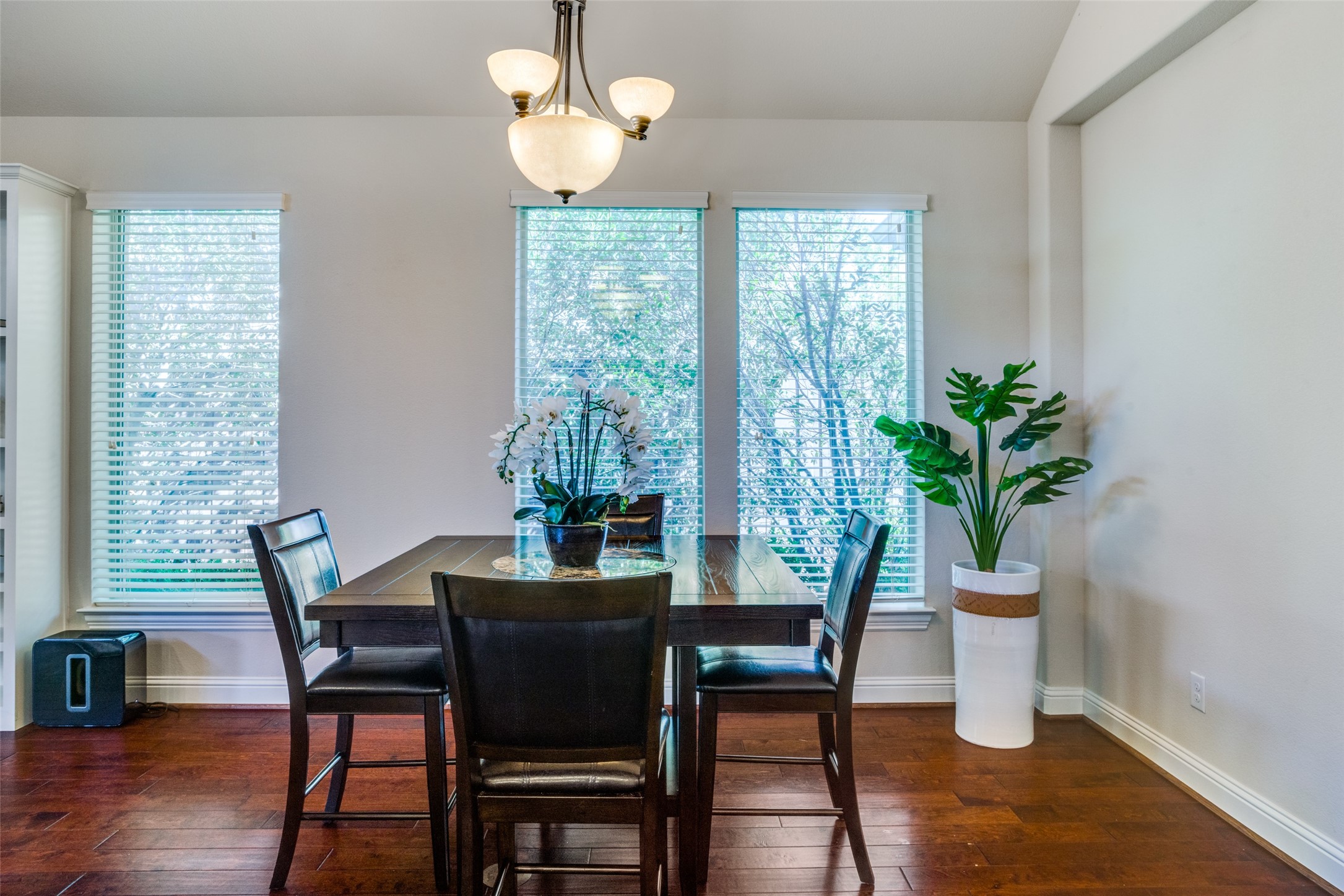13092 Dianna Drive