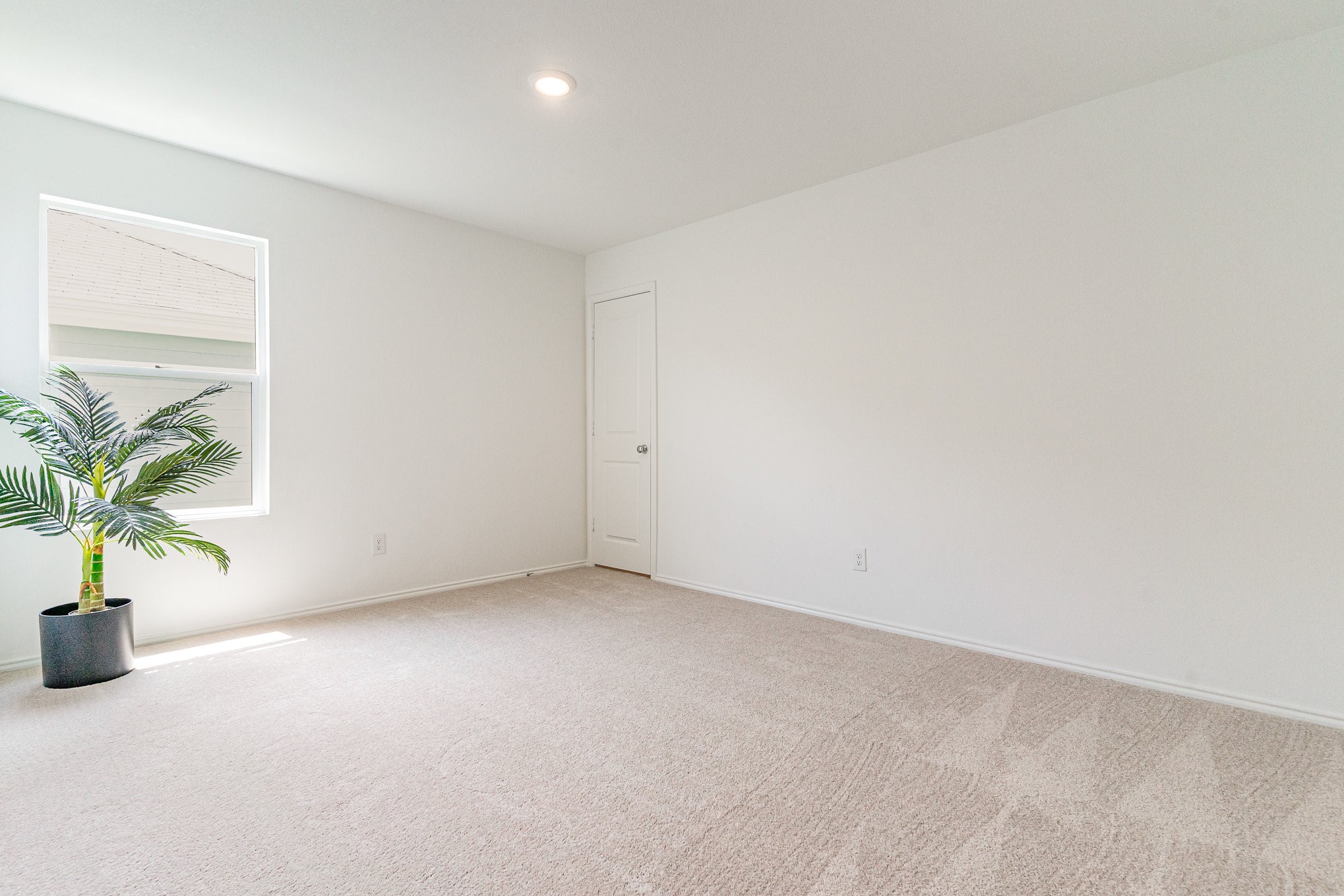 9213 Red Fox Trail