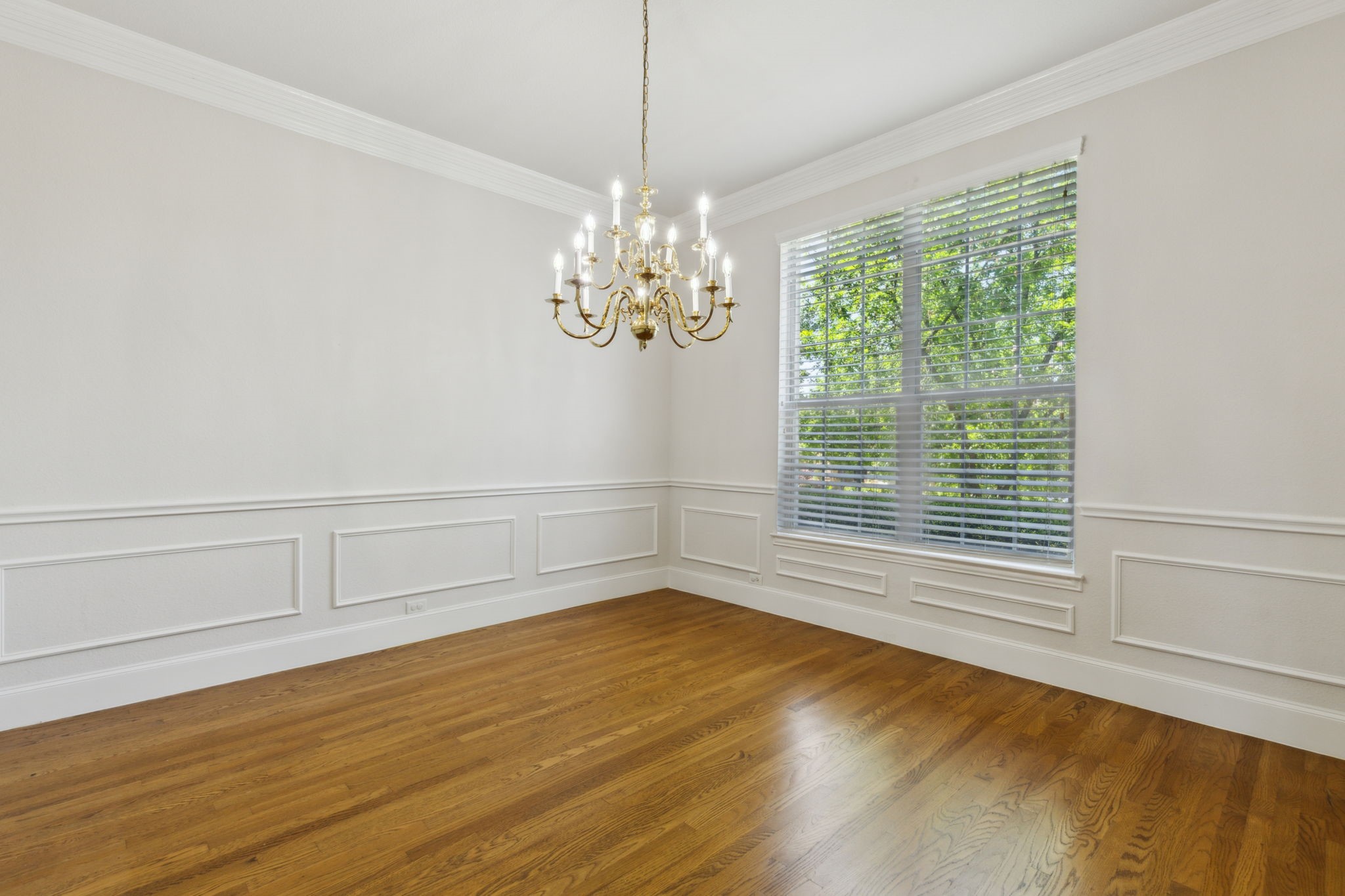 1209 Queen Peggy Lane