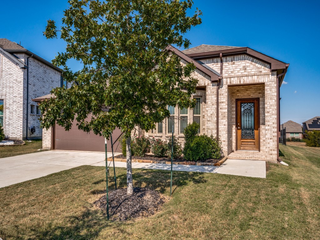1209 Rosebush Road