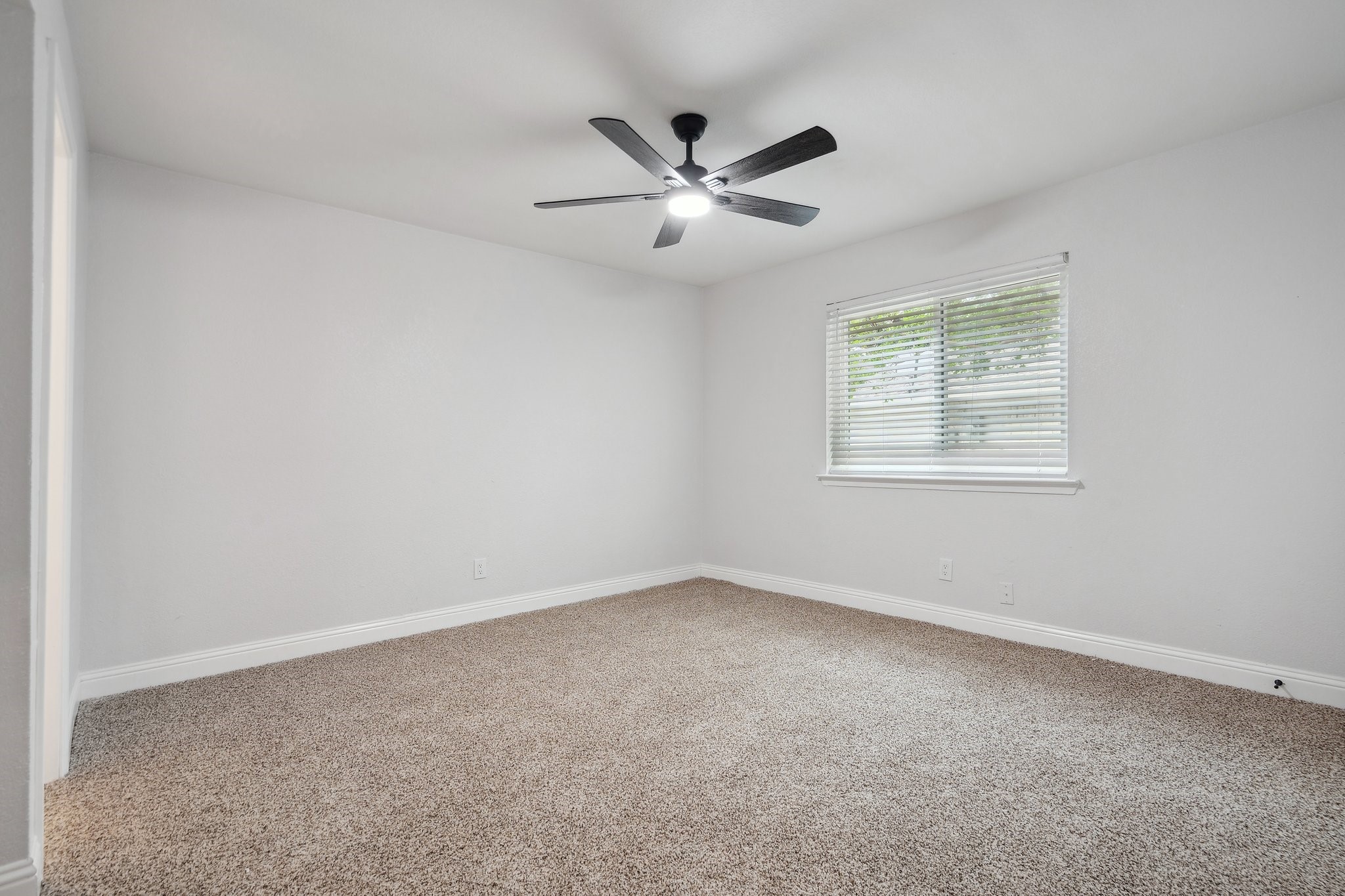 2123 Wheaton Drive