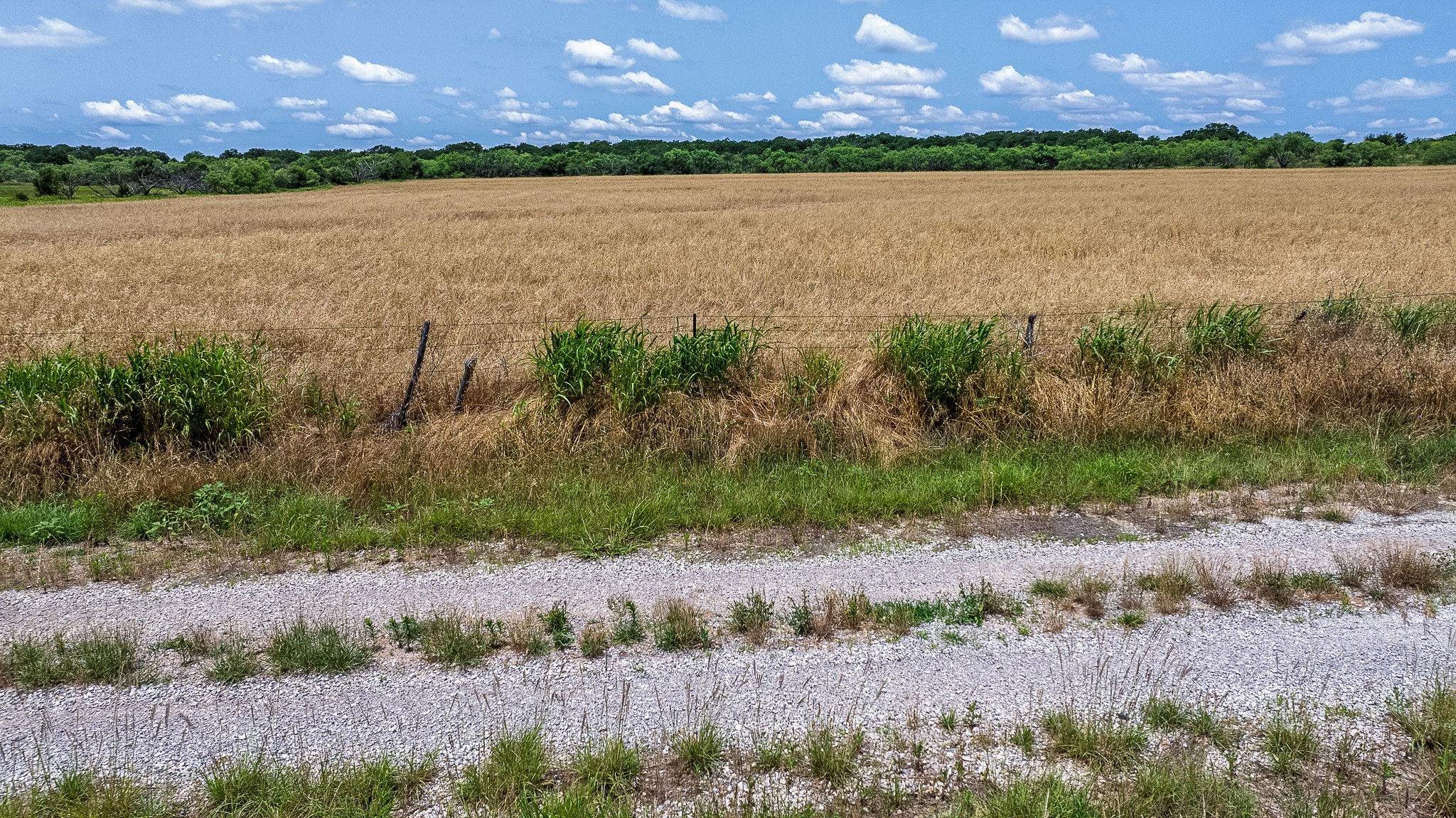 20 Acre TBD Taack Road