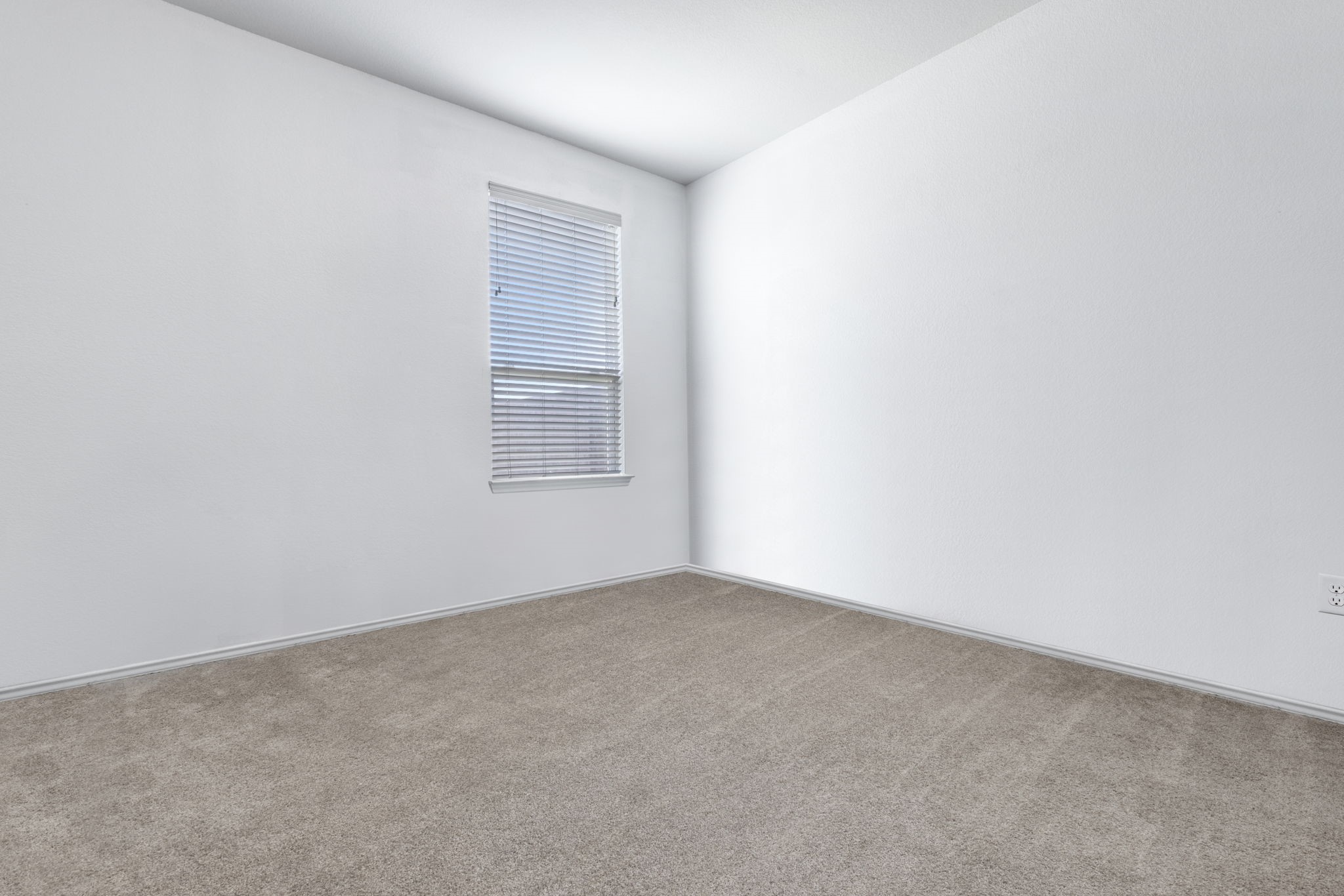 2913 Cash Place