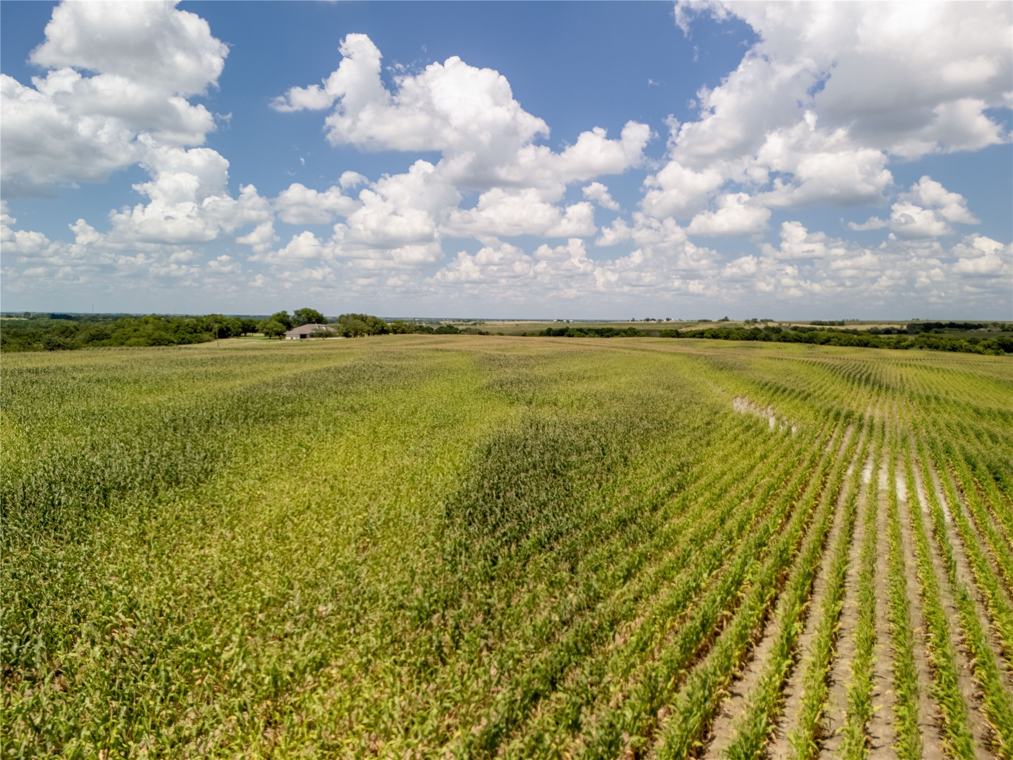 TBD 15 Acres HCR 3150
