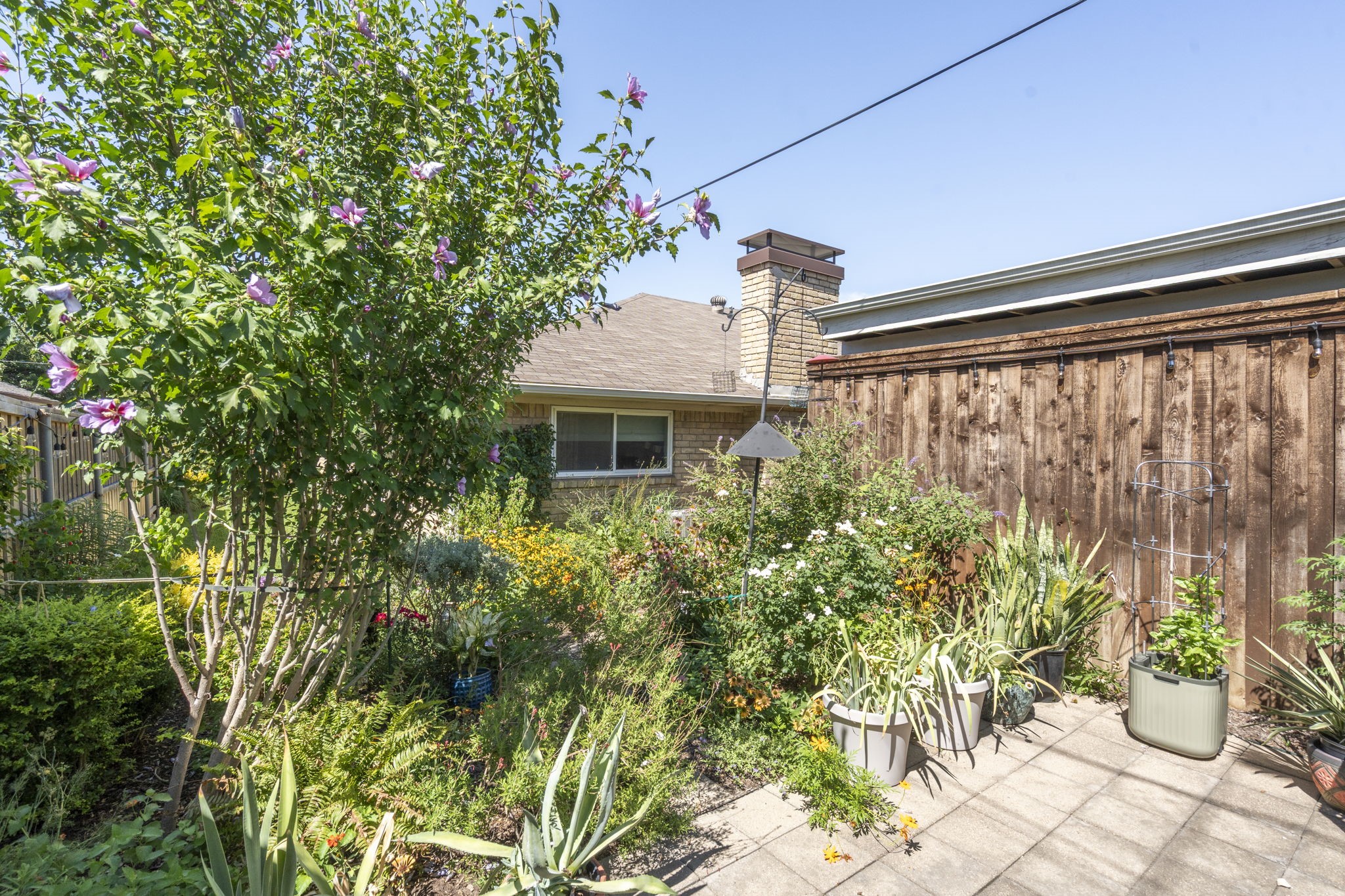 7342 Woodthrush Drive