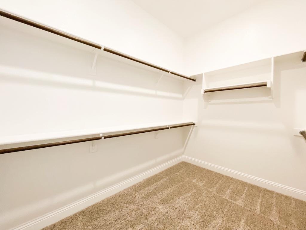2216 Snapdragon Road