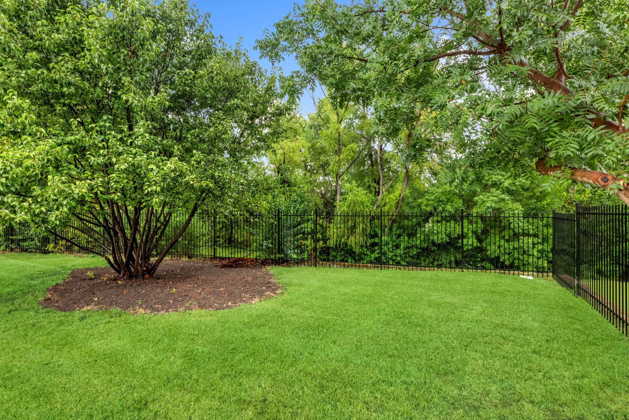 3537 Teakwood Lane