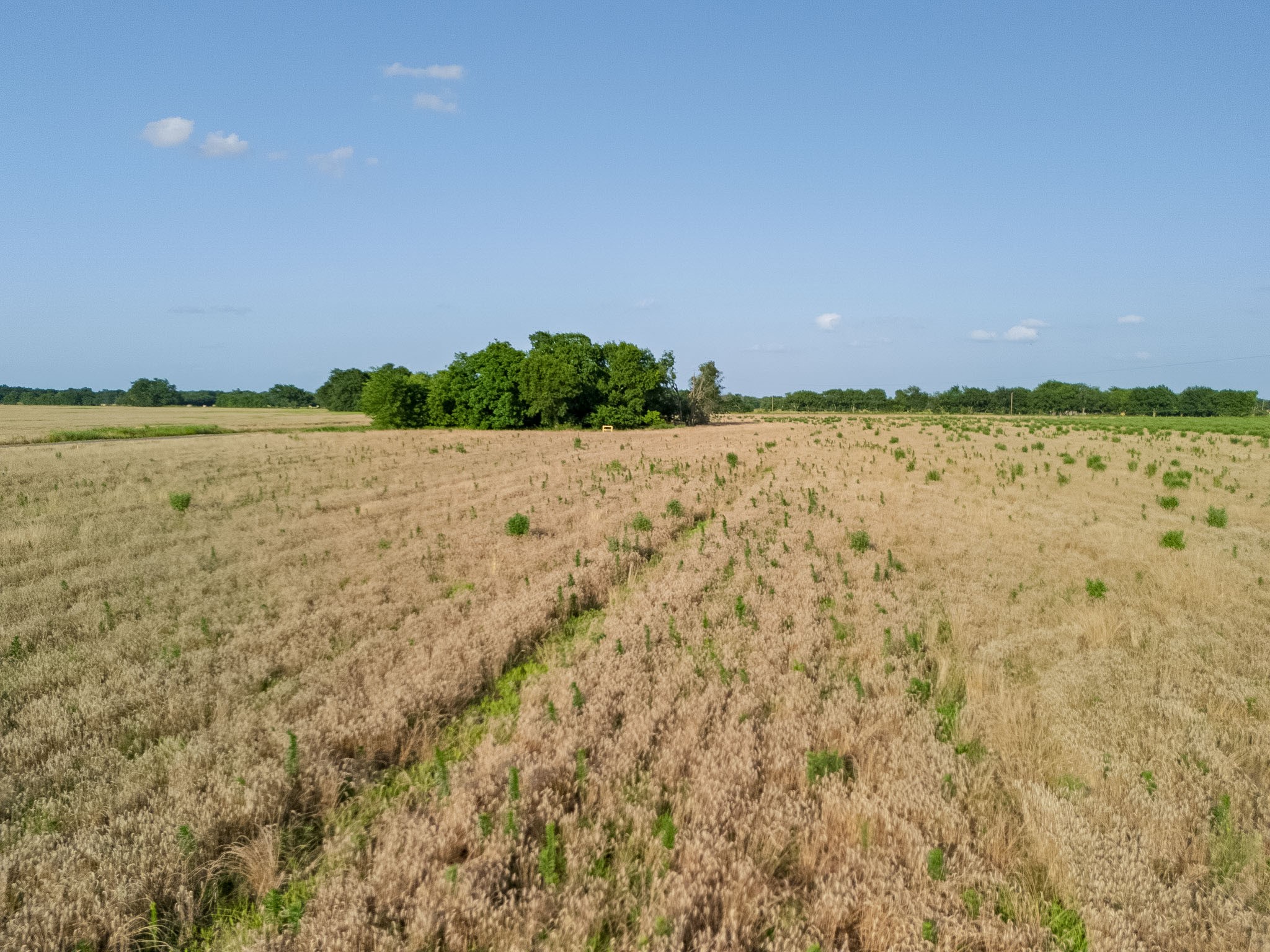 Lot 3 County Rd 4609