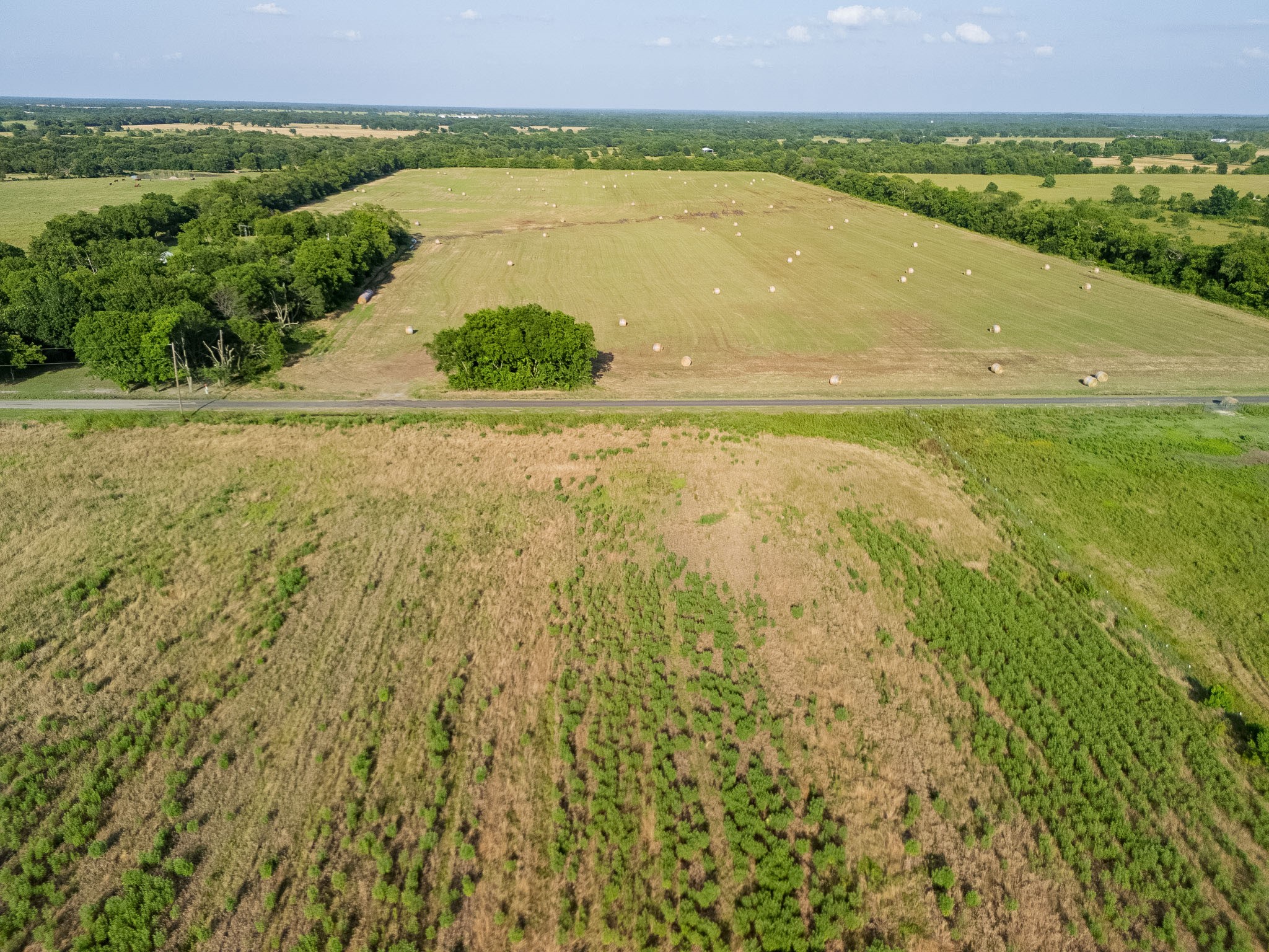 Lot 3 County Rd 4609