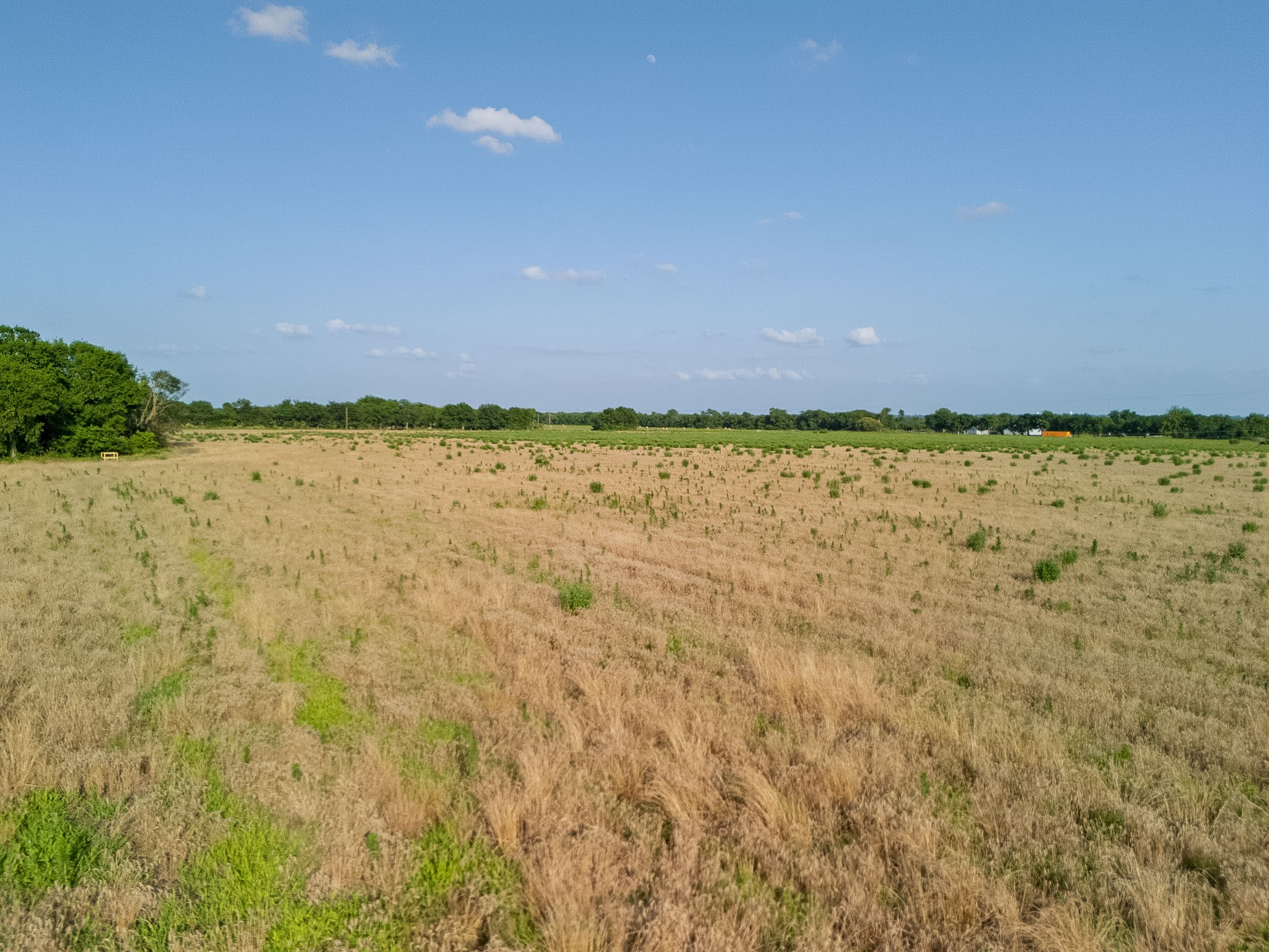 Lot 3 County Rd 4609