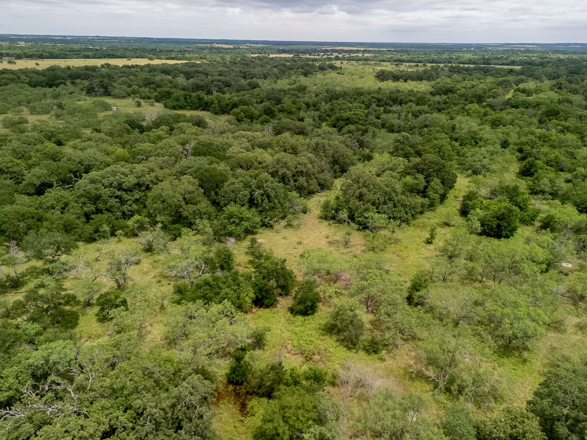 Tract 6 County Rd 159