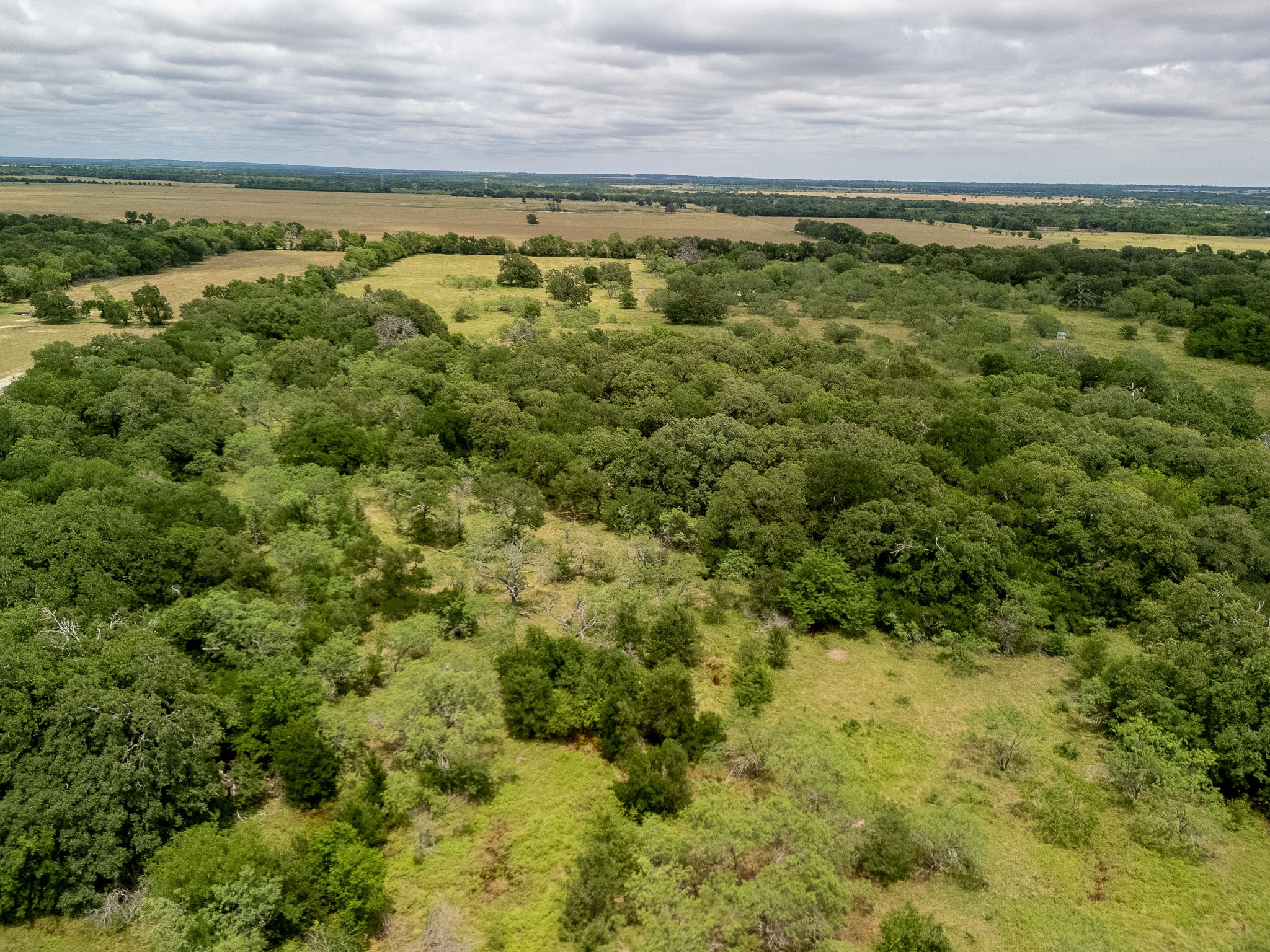Tract 6 County Rd 159