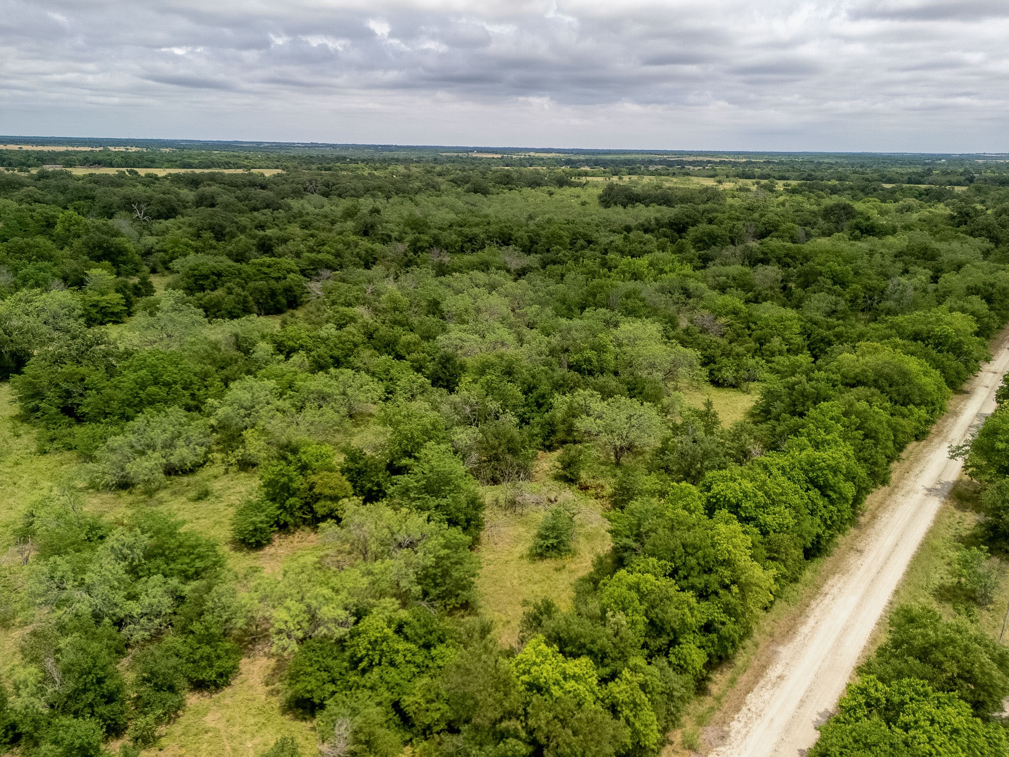 Tract 6 County Rd 159