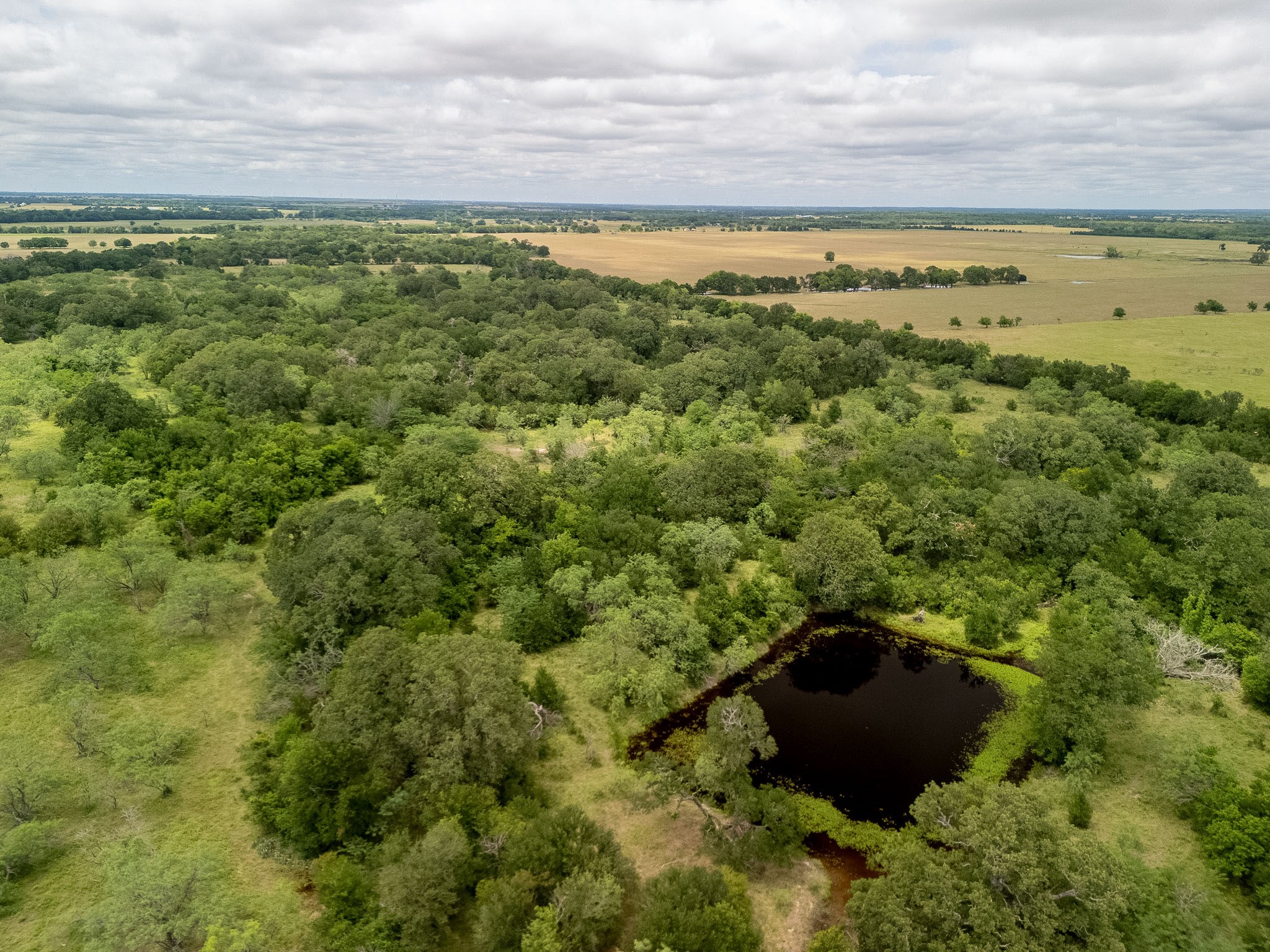 TBD 20 Acres County Road 159