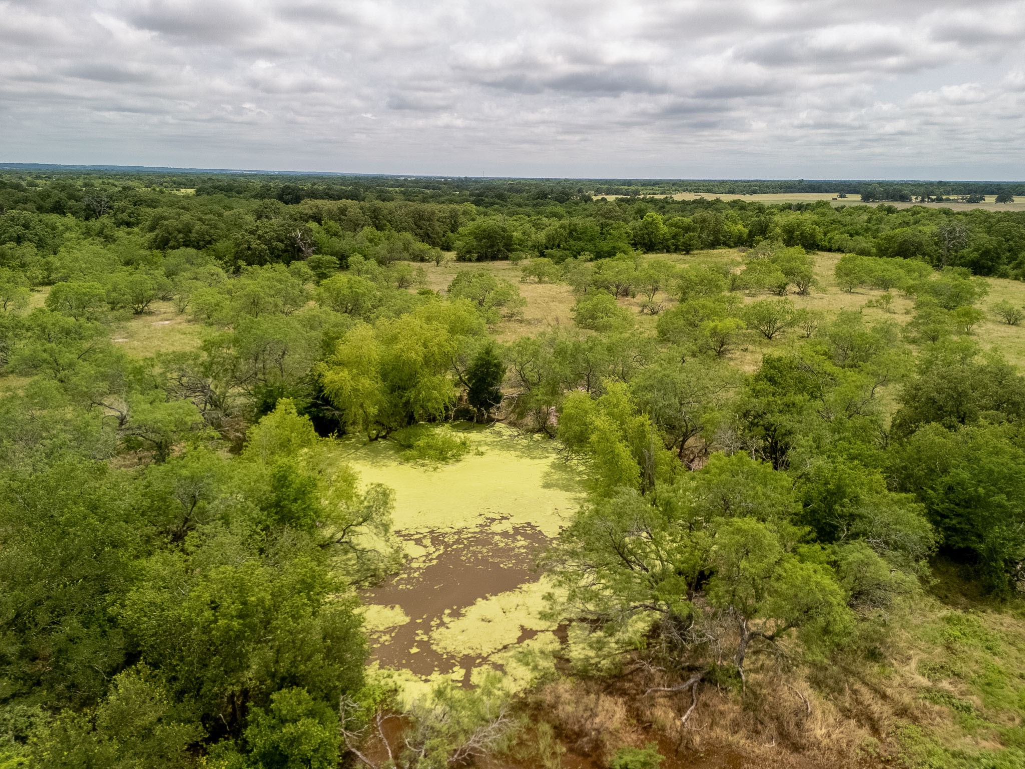 TBD 20 Acres County Road 159