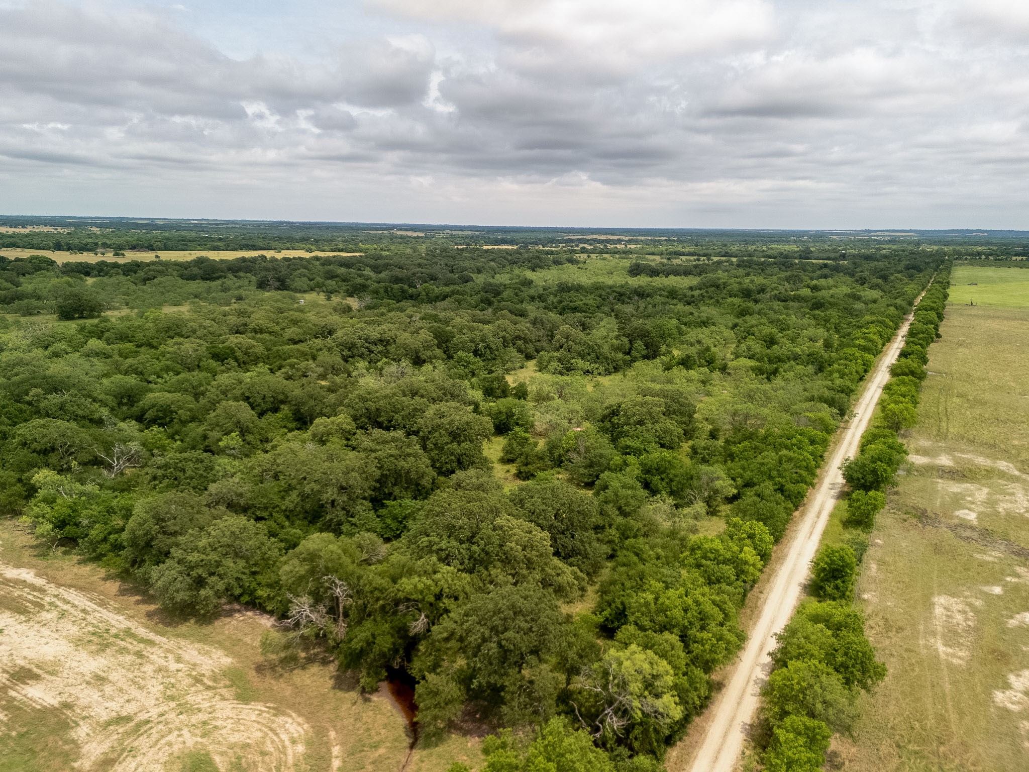 TBD 20 Acres County Road 159