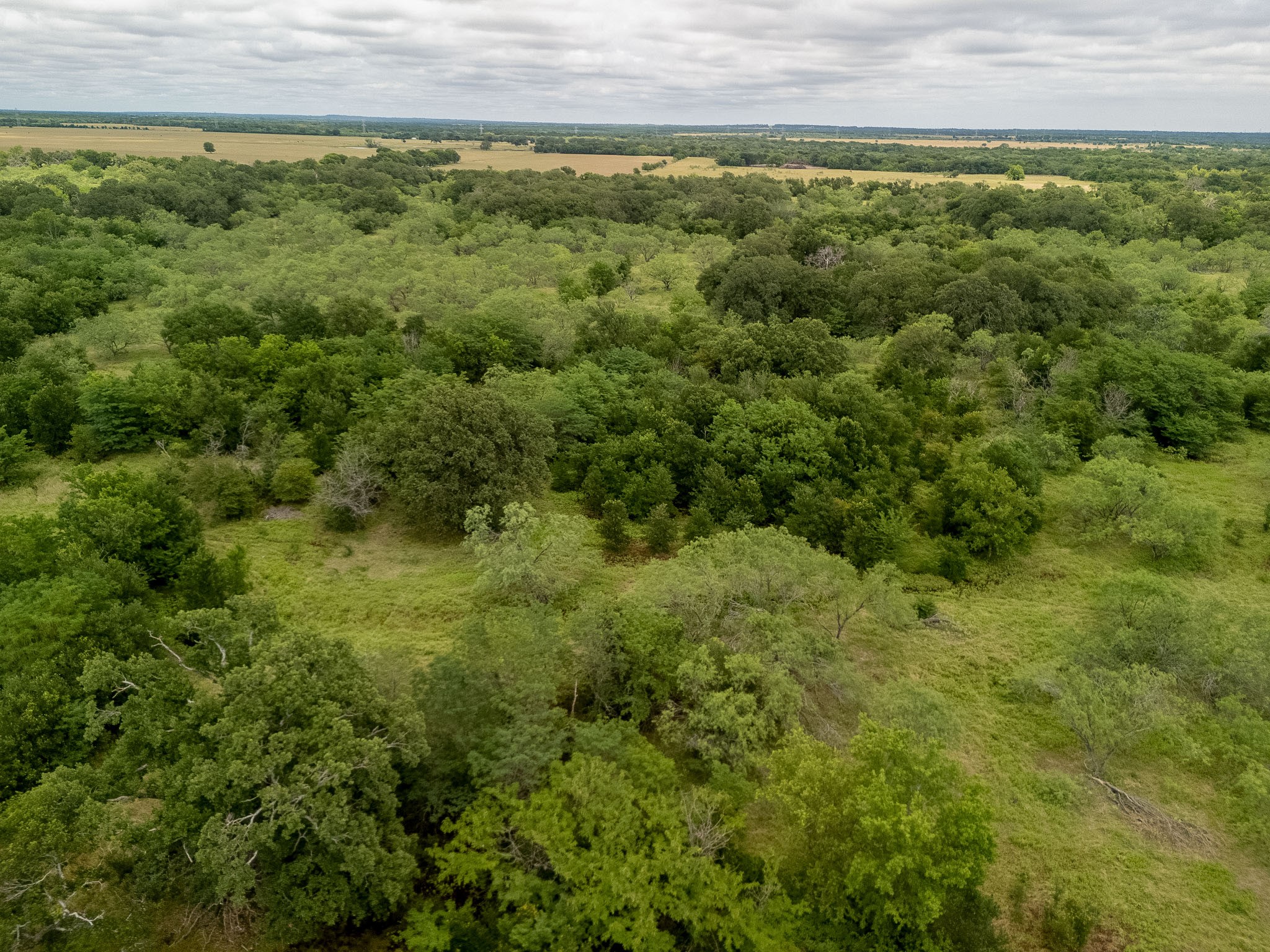 TBD 20 Acres County Road 159