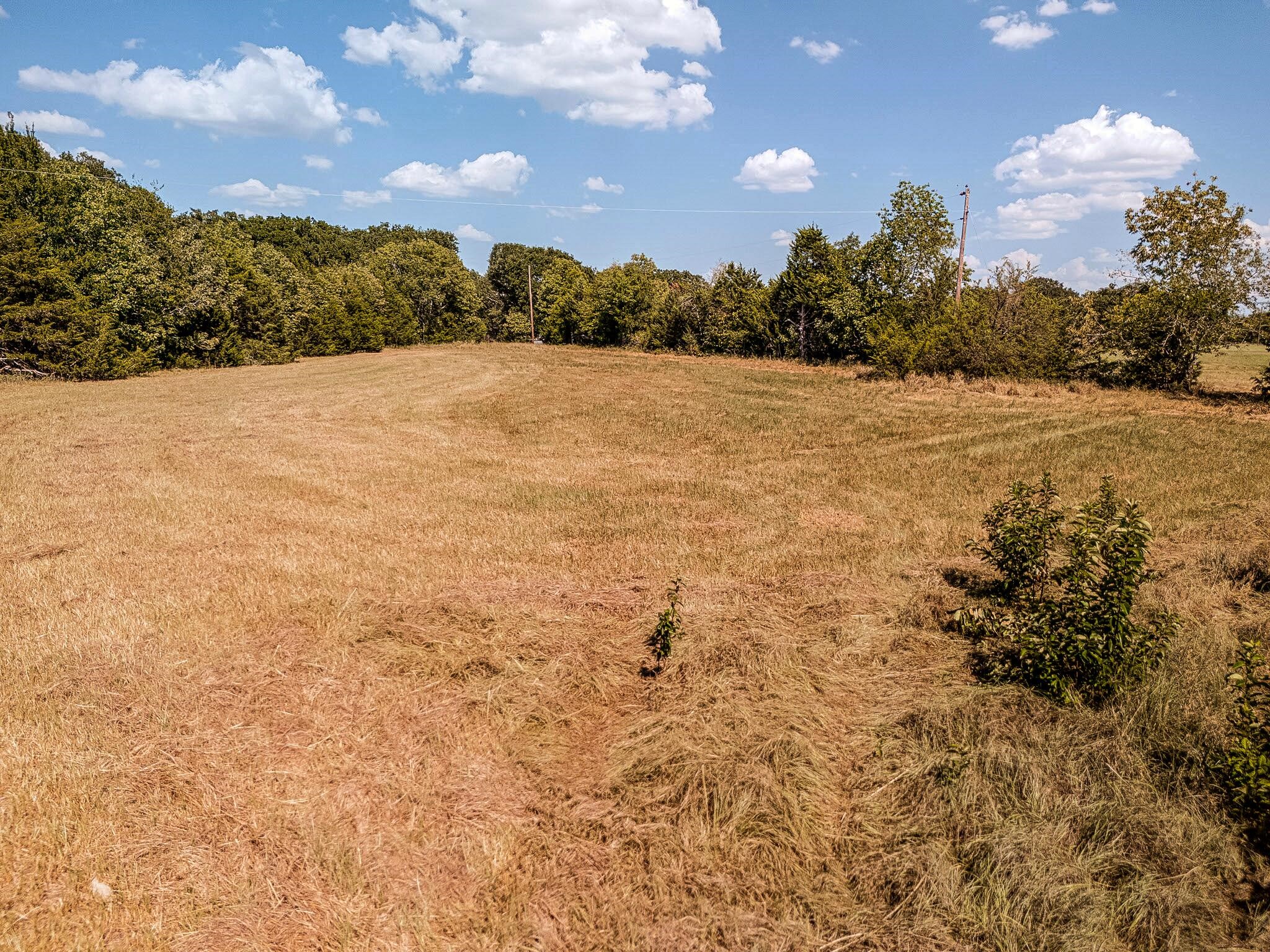 TBD 12.29 Acres County Rd 3502