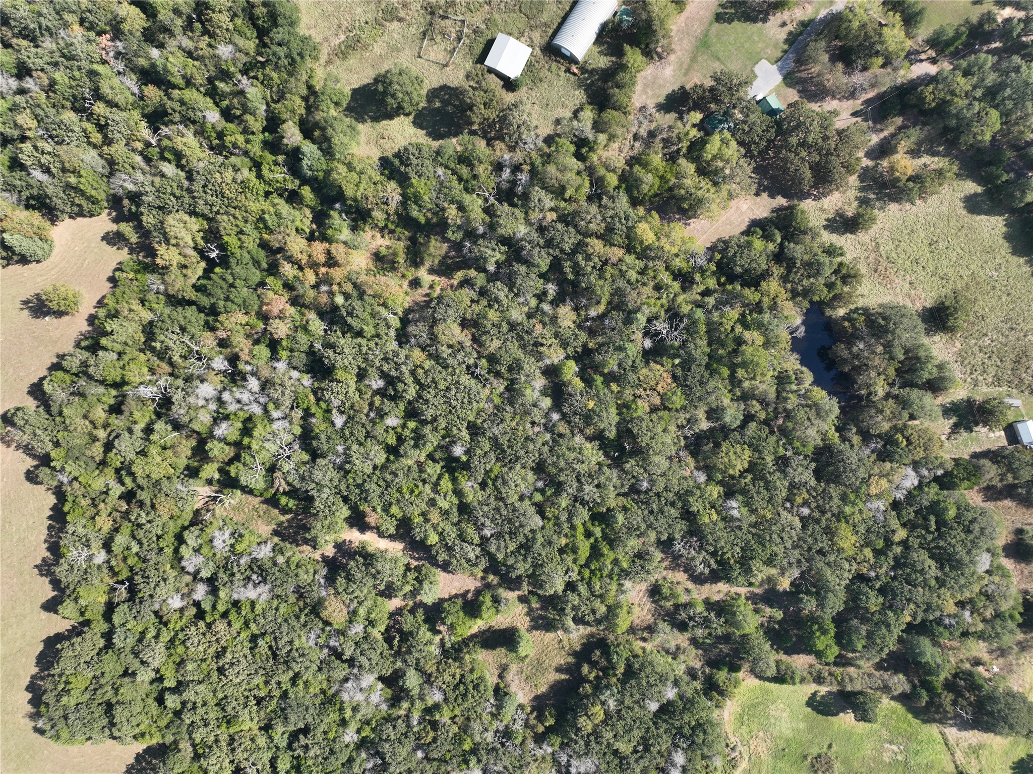 9 Acres County Rd 471