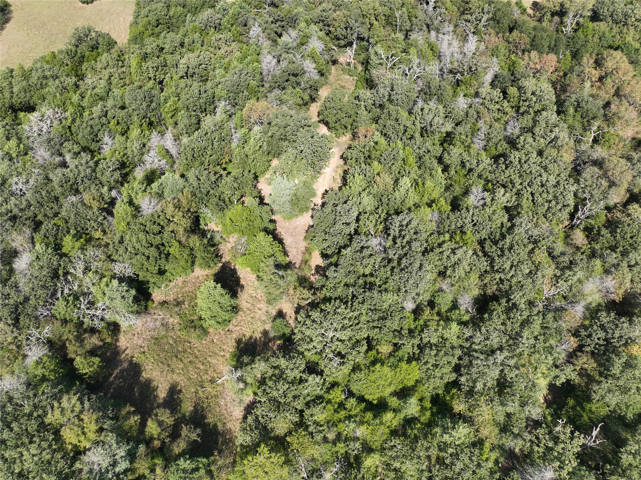 9 Acres County Rd 471