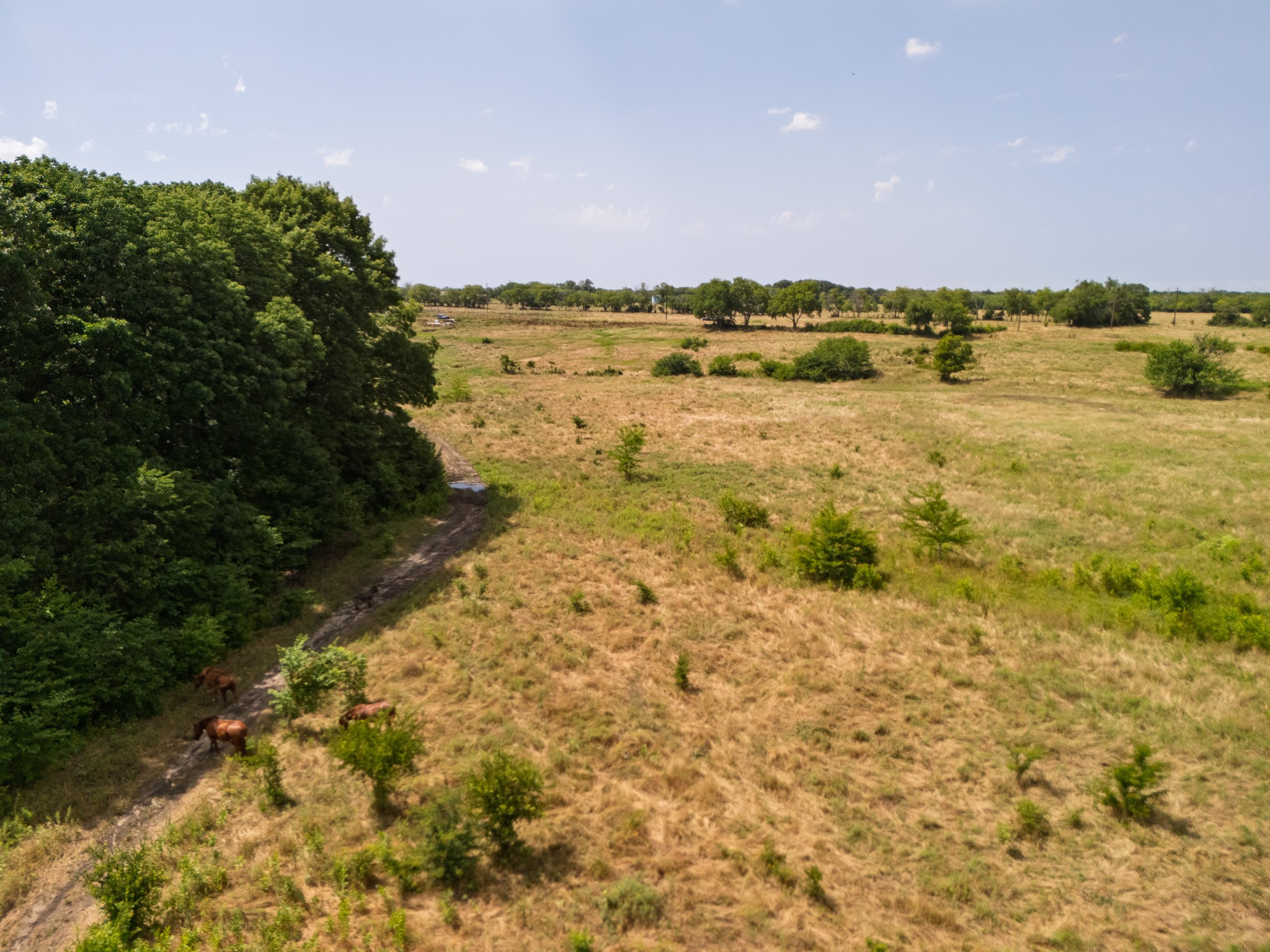TBD 28 Acres FM 1752