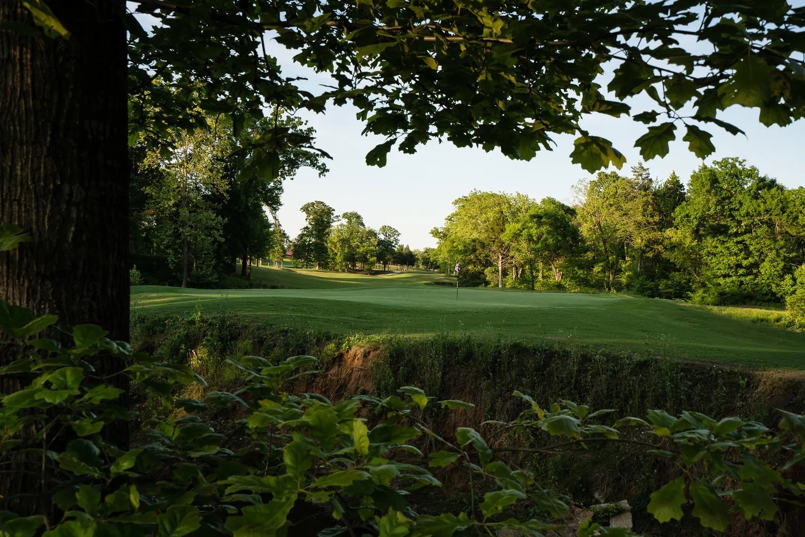 83 Bear Path Road