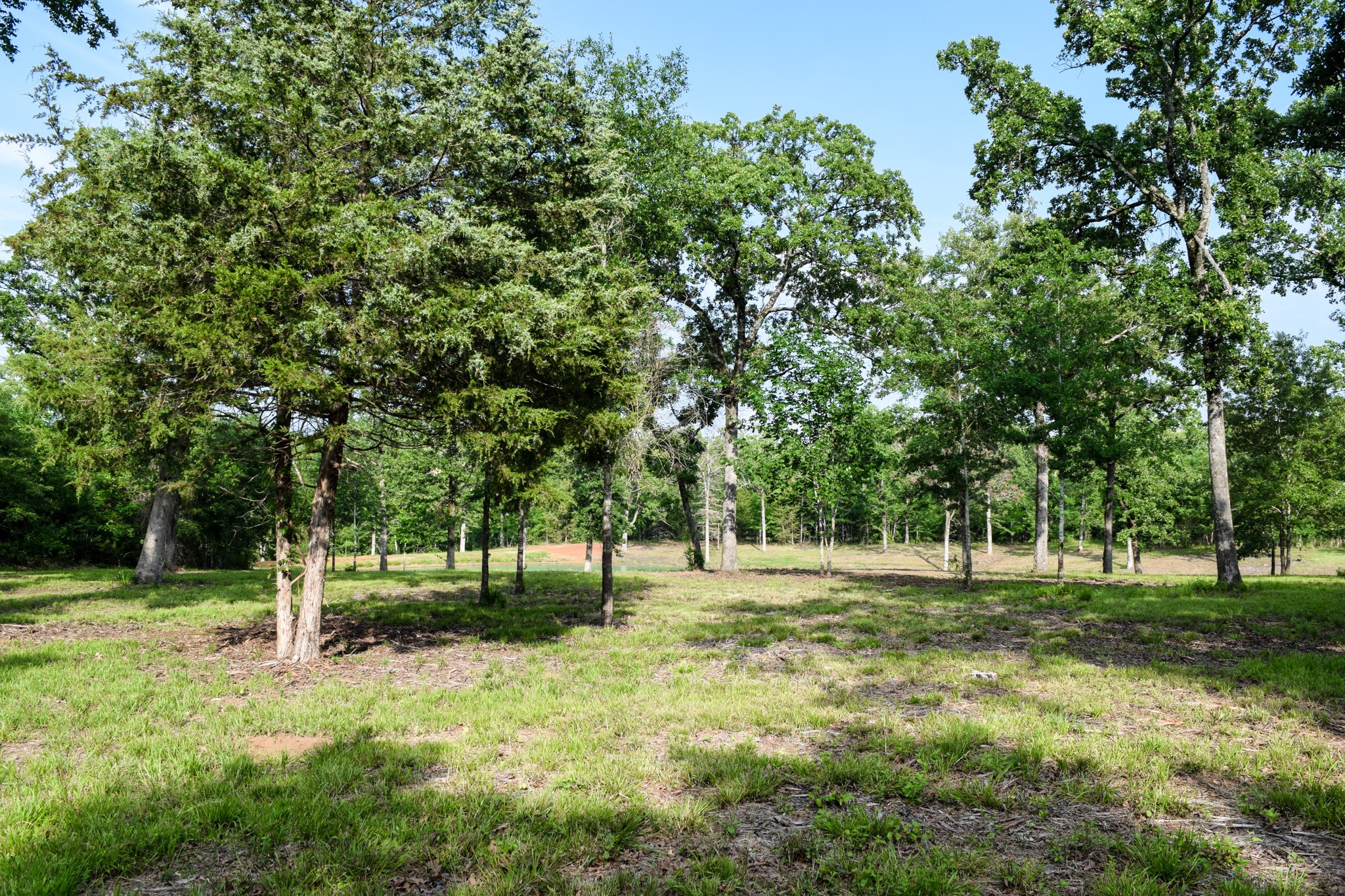 TBD VZ County Road 1507 Road
