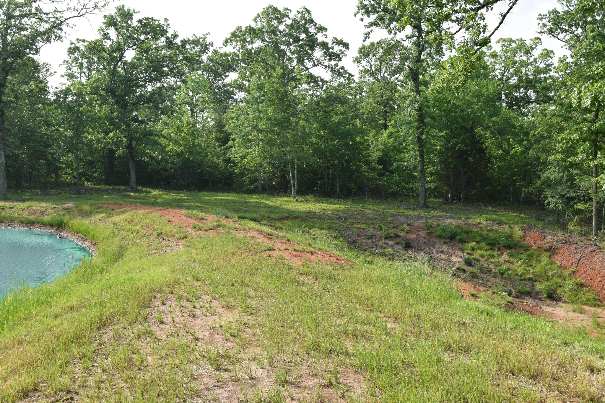 TBD VZ County Road 1507 Road