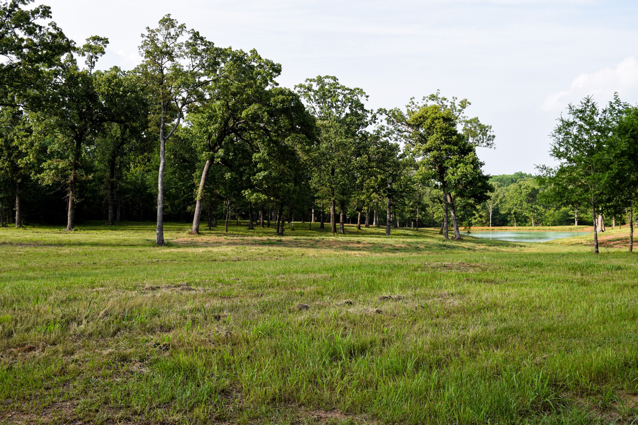 TBD VZ County Road 1507 Road