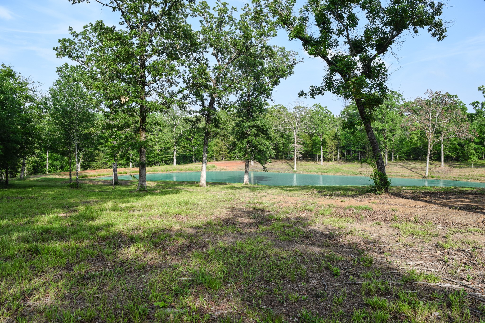 TBD VZ County Road 1507 Road