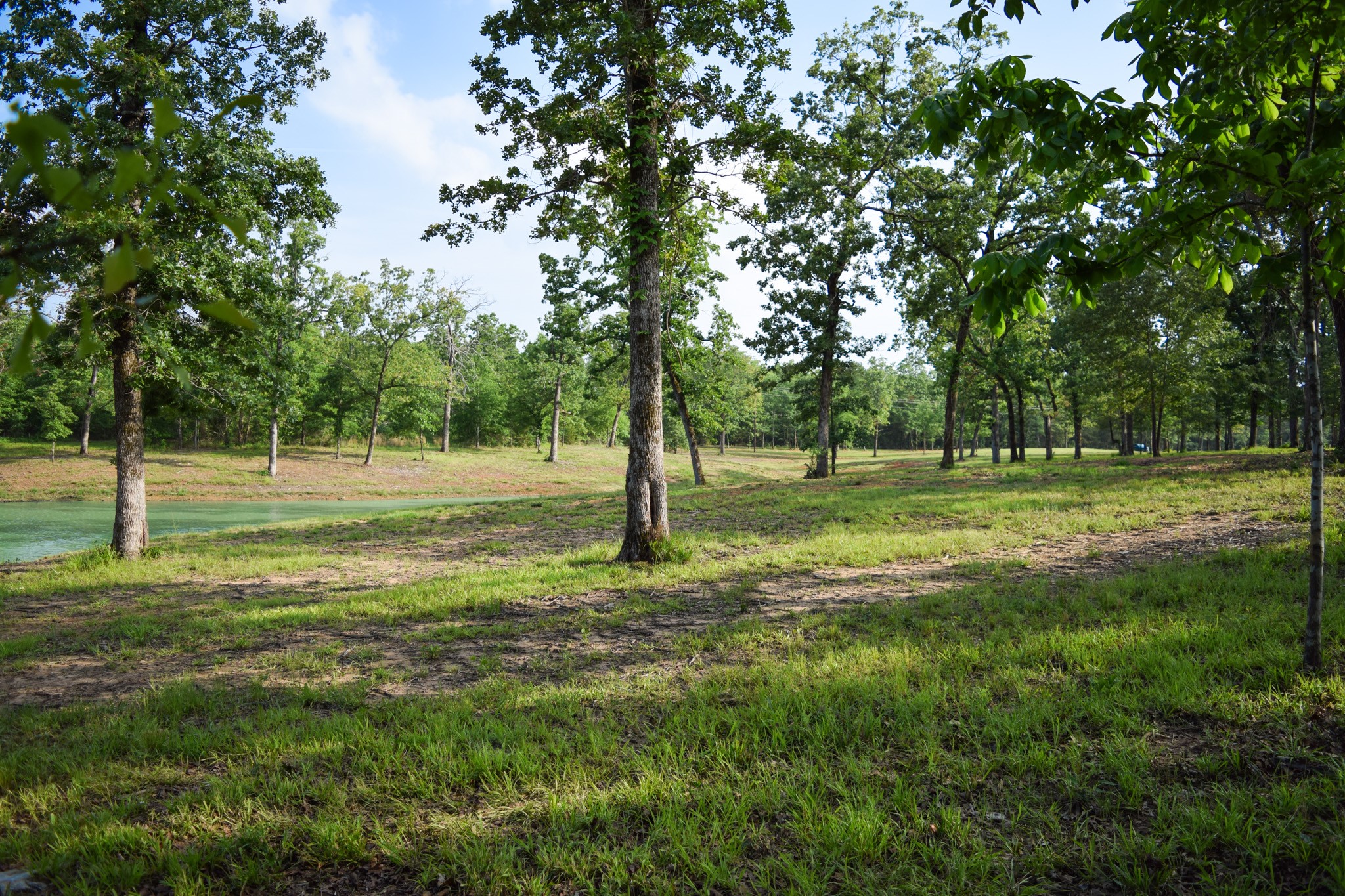 TBD VZ County Road 1507 Road