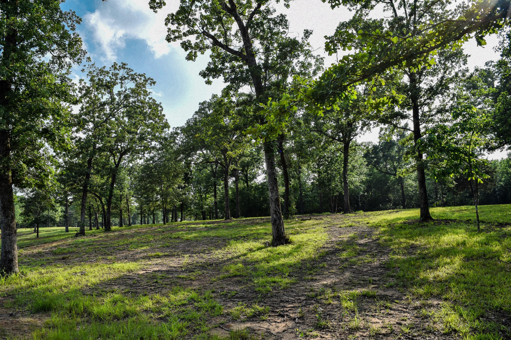 TBD VZ County Road 1507 Road