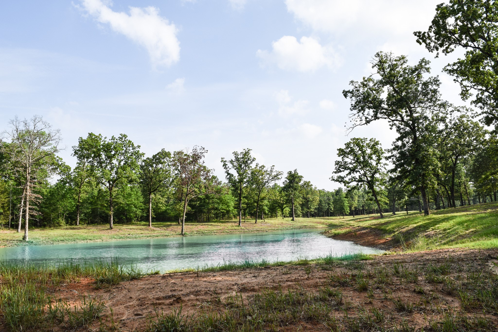 TBD VZ County Road 1507 Road