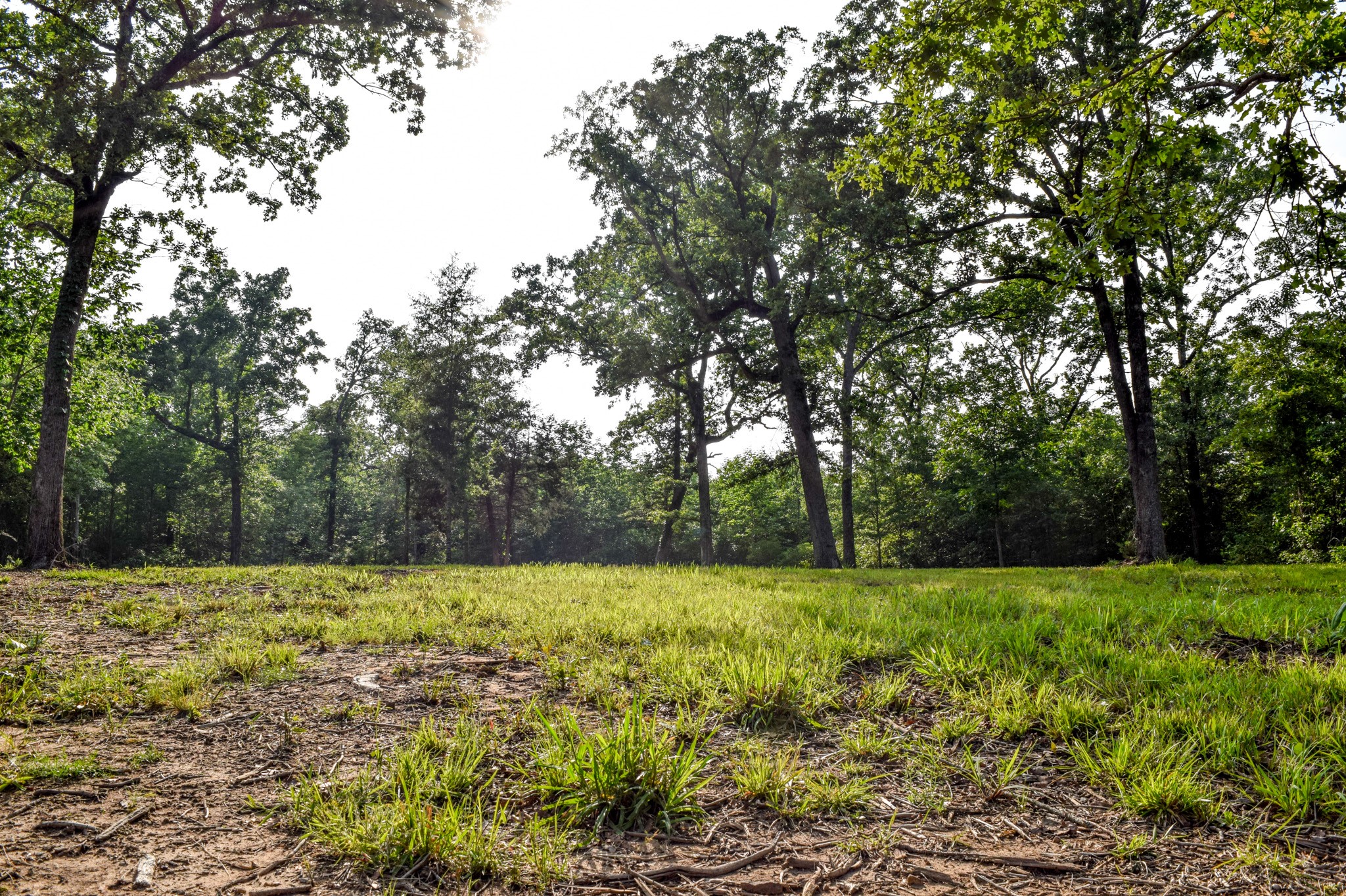 TBD VZ County Road 1507 Road