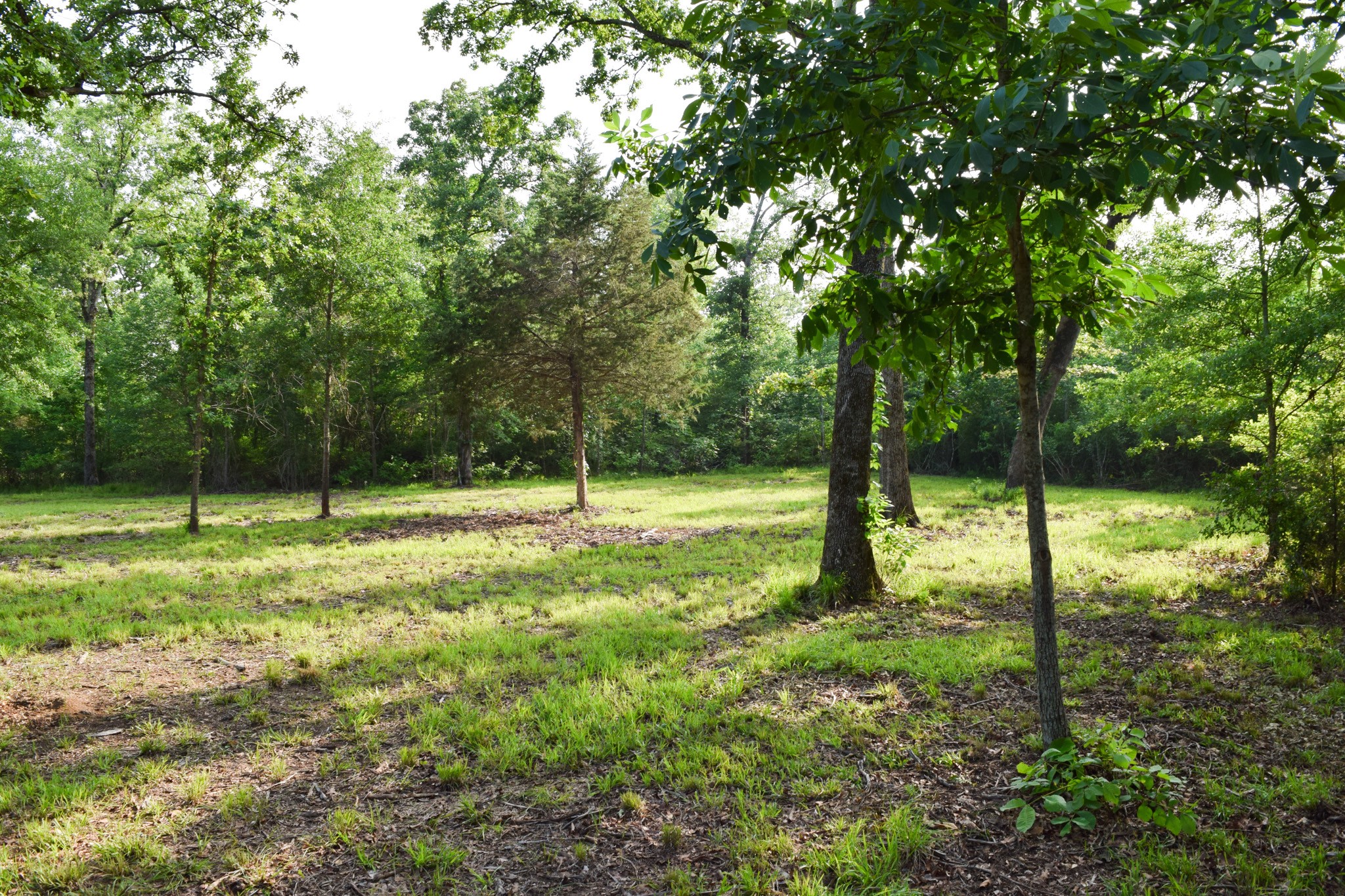TBD VZ County Road 1507 Road