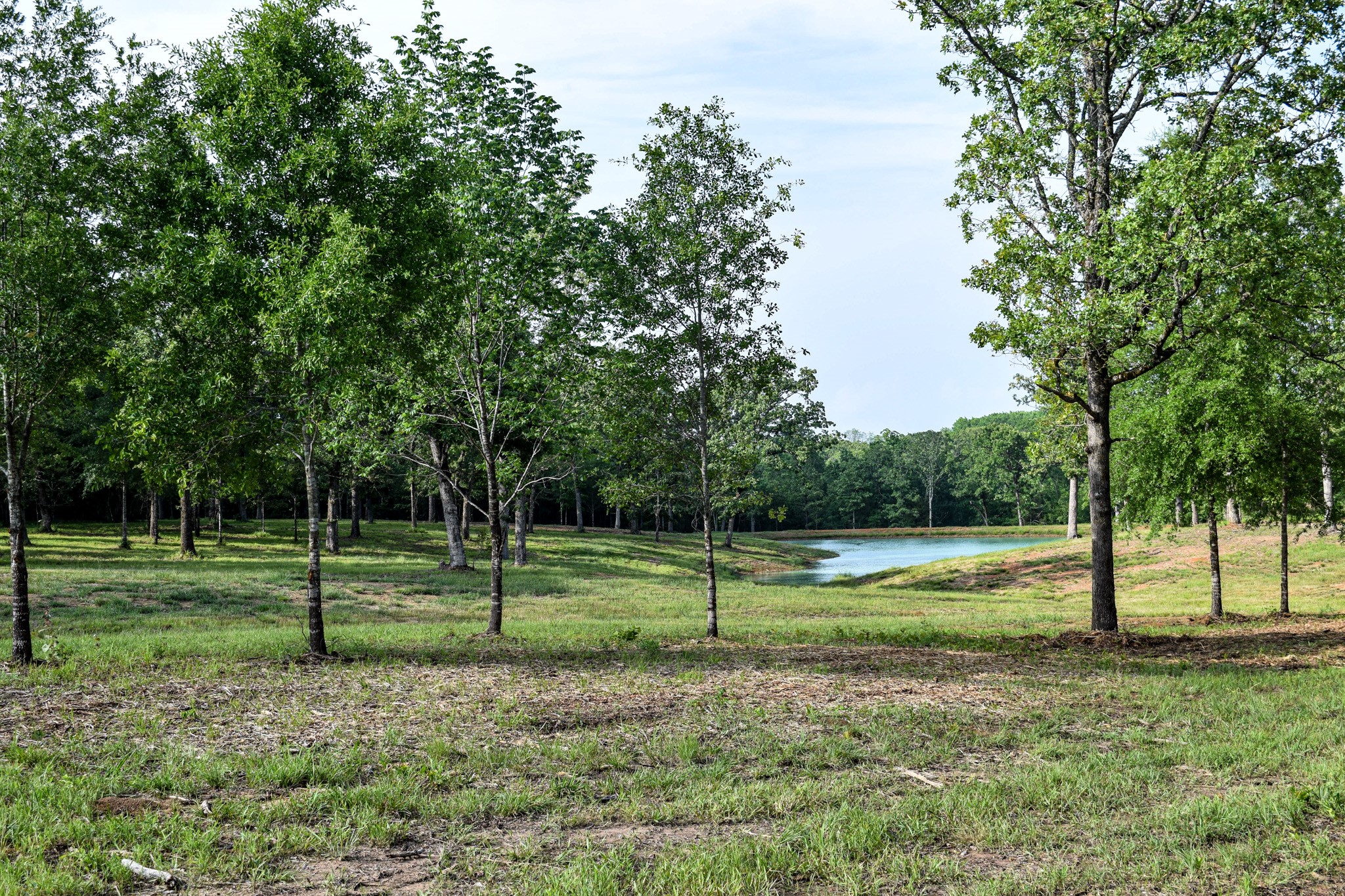 TBD VZ County Road 1507 Road