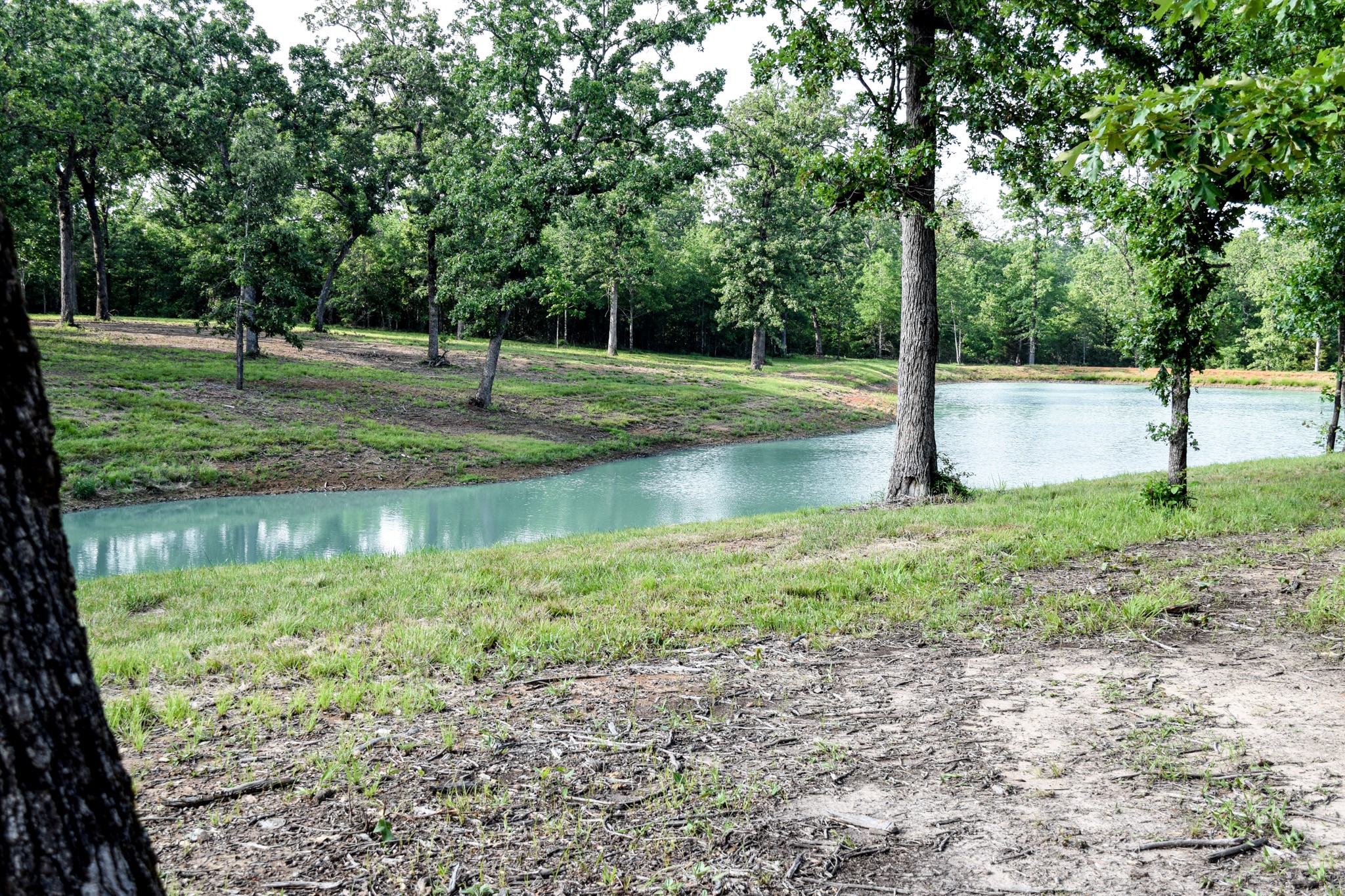 TBD VZ County Road 1507 Road