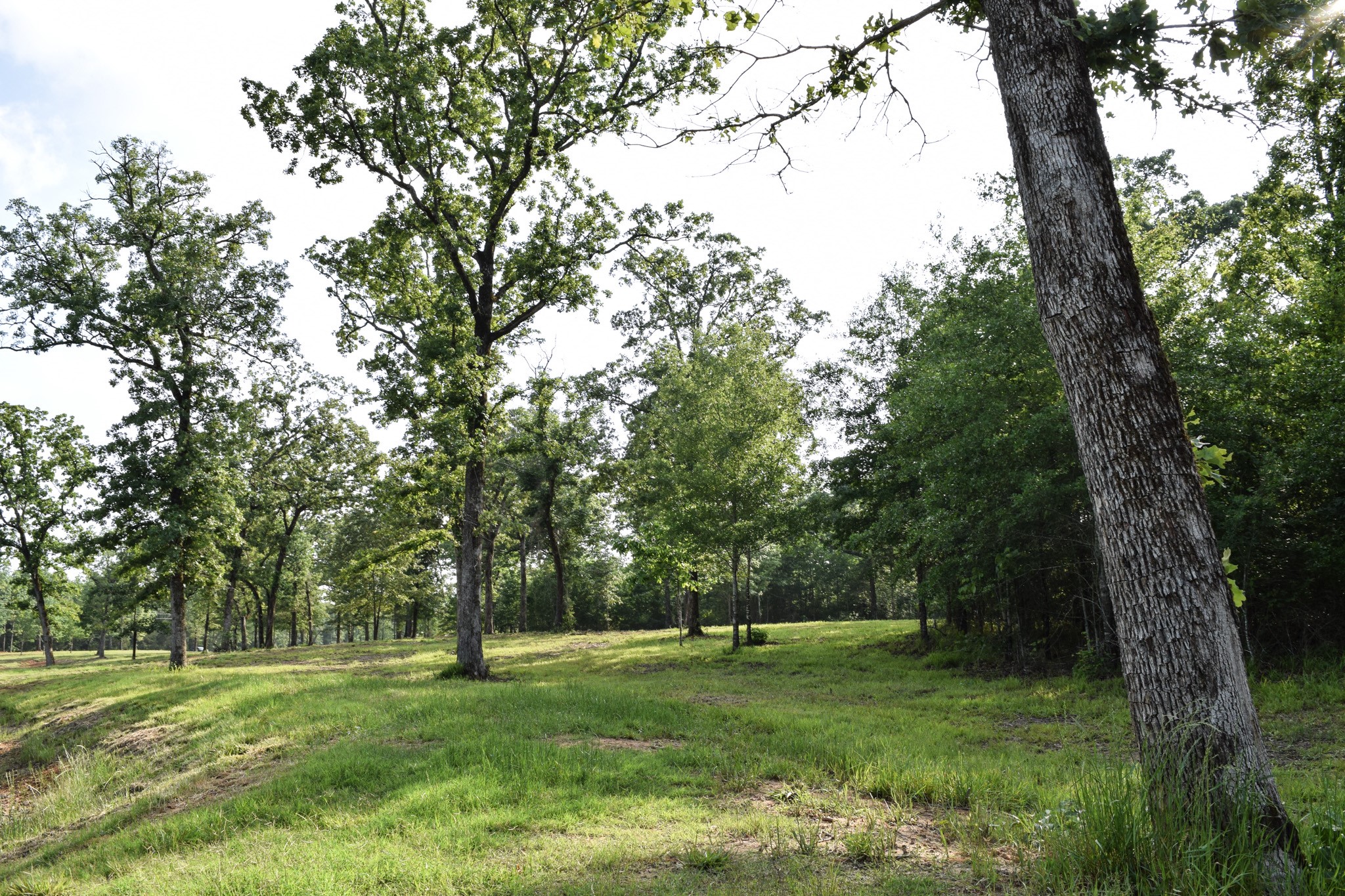 TBD VZ County Road 1507 Road