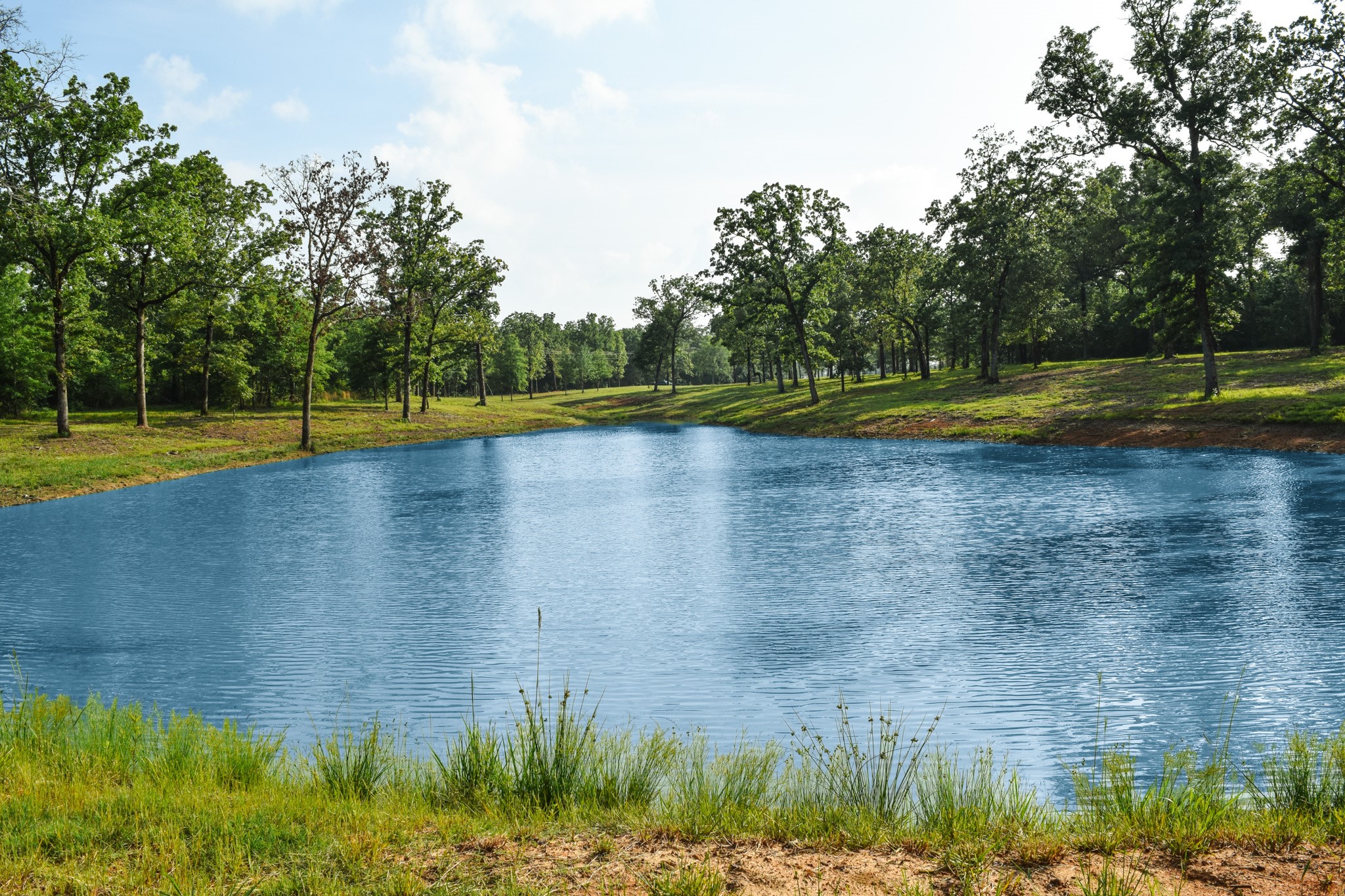 TBD VZ County Road 1507 Road