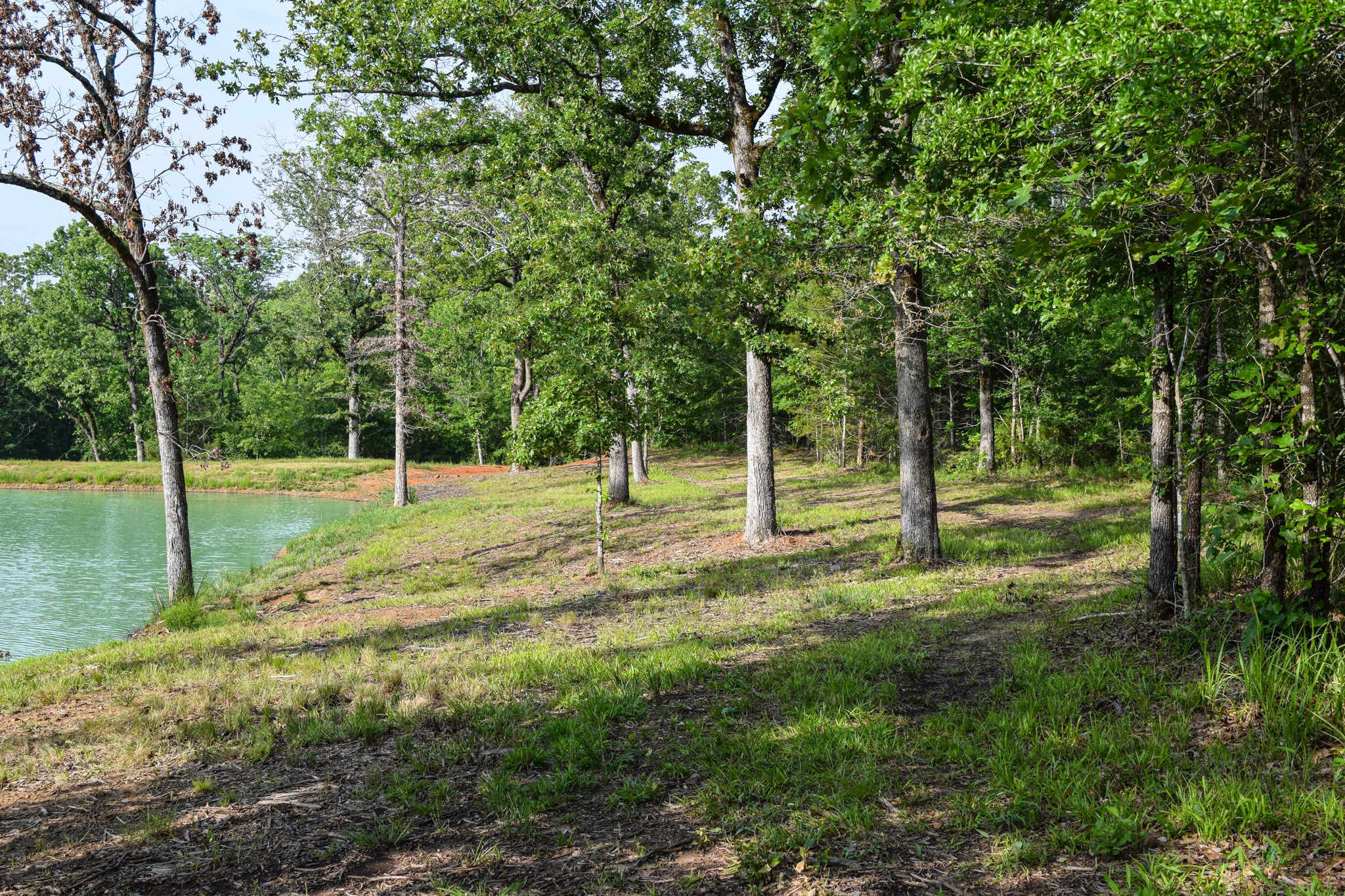 TBD VZ County Road 1507 Road