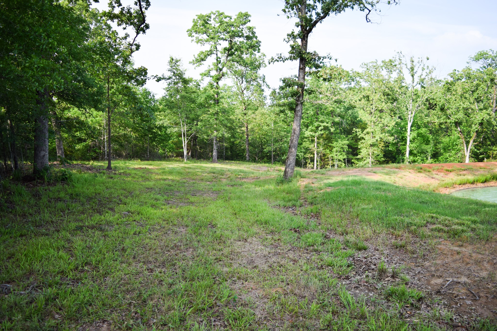 TBD VZ County Road 1507 Road