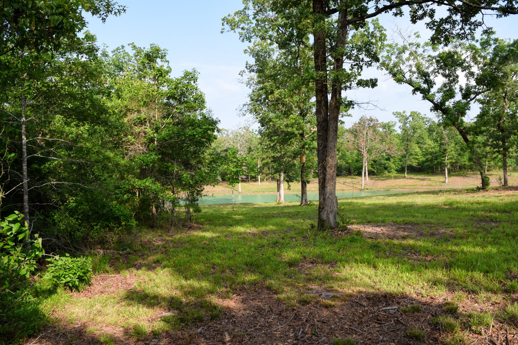 TBD VZ County Road 1507 Road