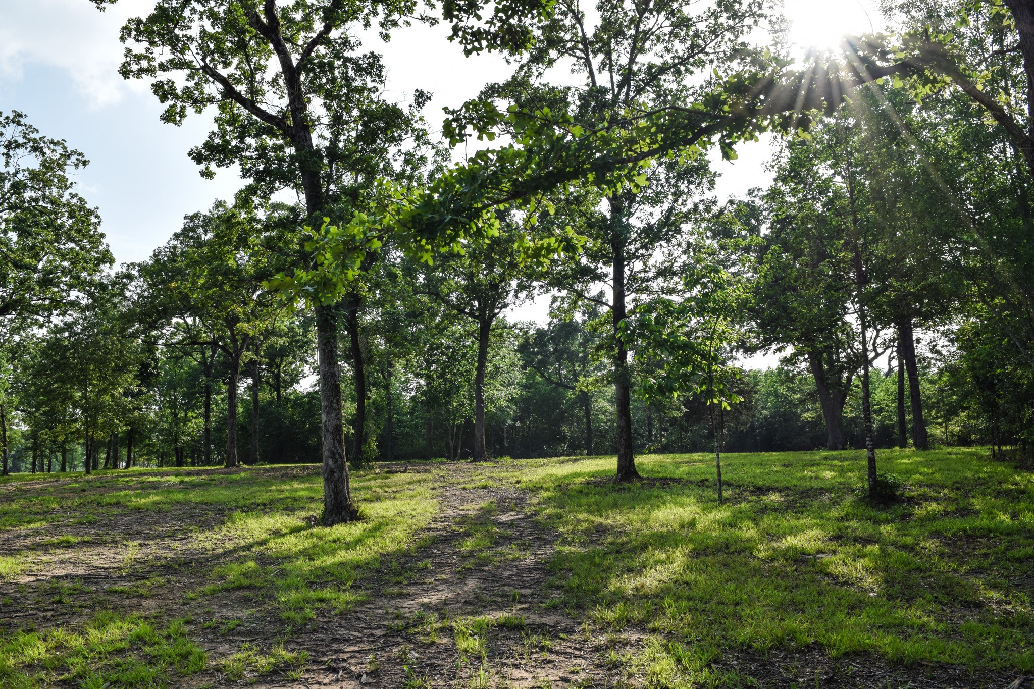 TBD VZ County Road 1507 Road