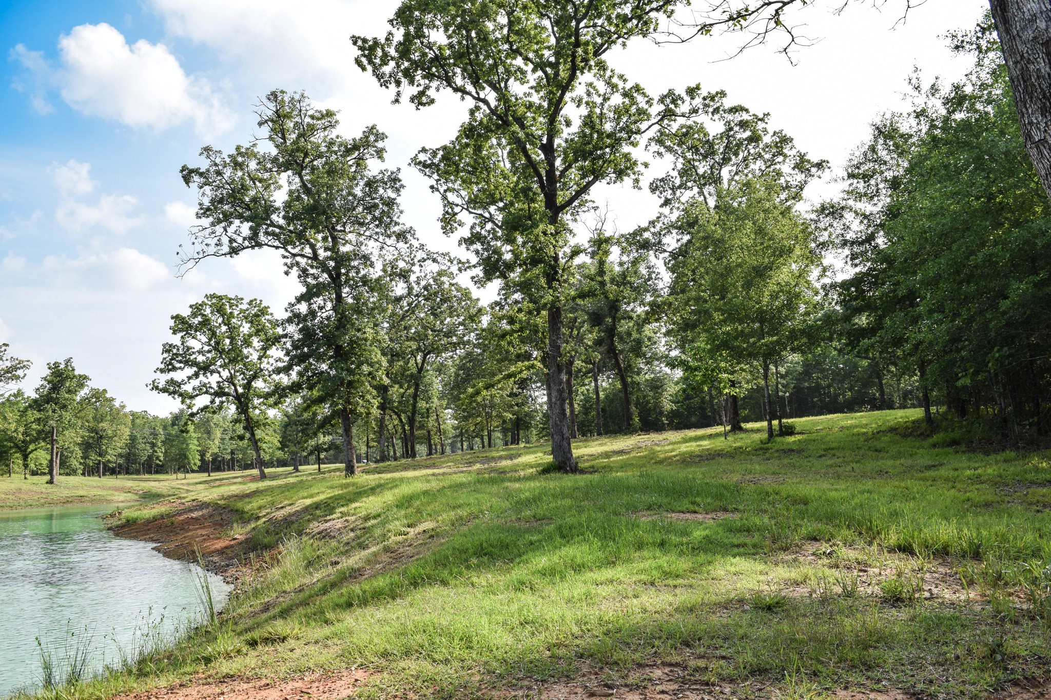 TBD VZ County Road 1507 Road