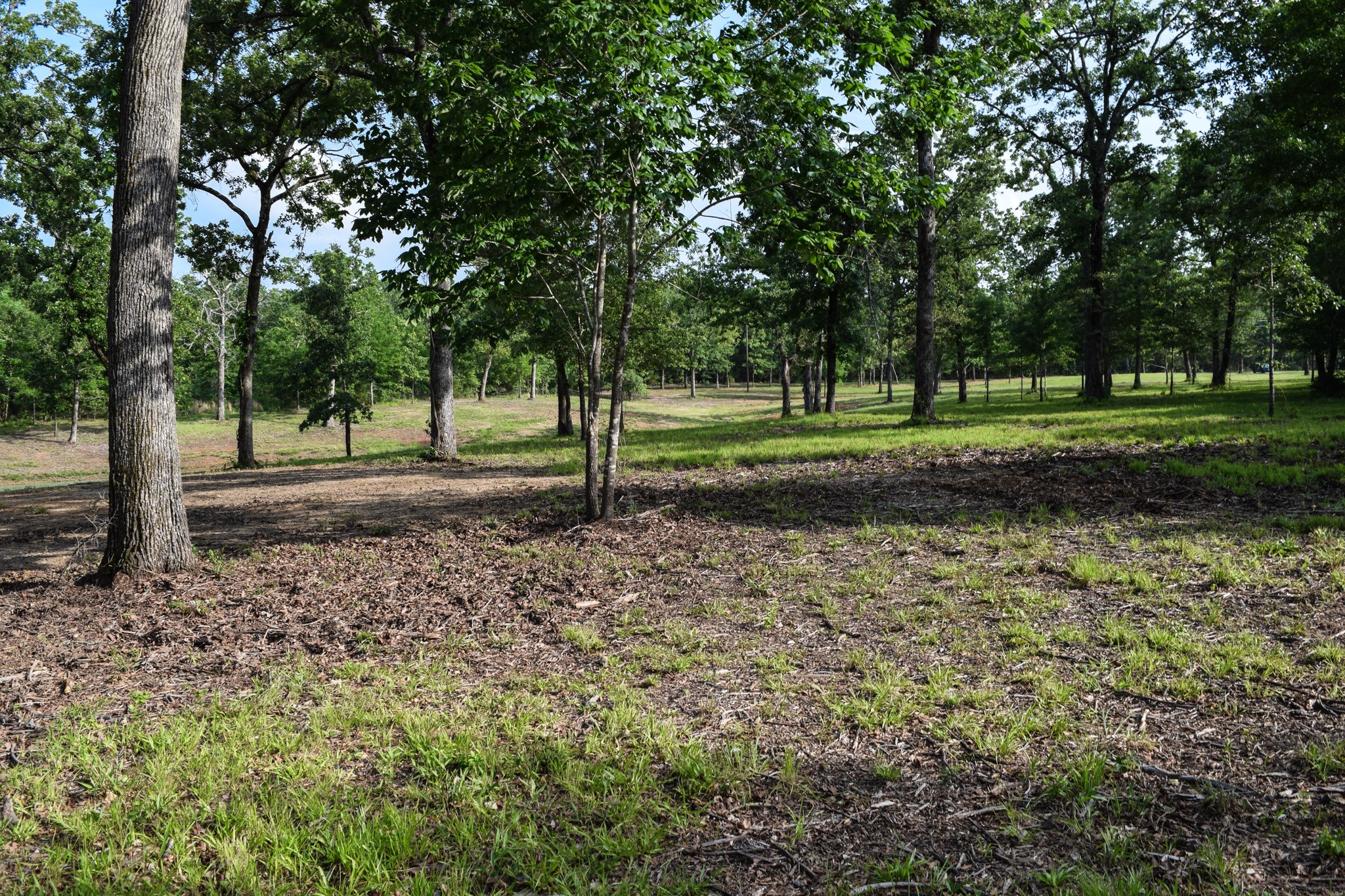 TBD VZ County Road 1507 Road